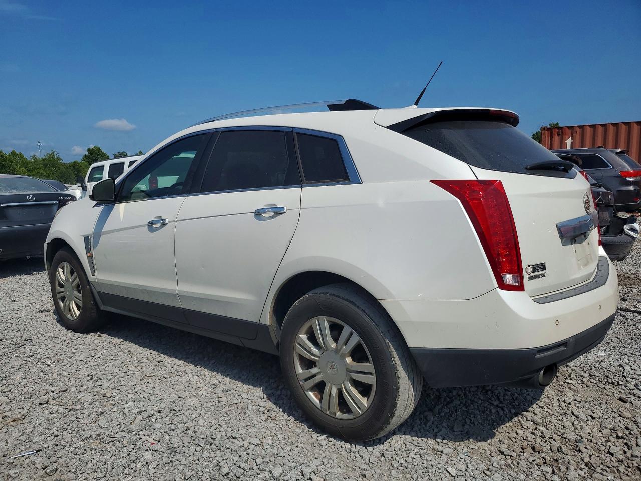 2010 Cadillac Srx Performance Collection Кремовый vin: 3GYFNBEY7AS624727