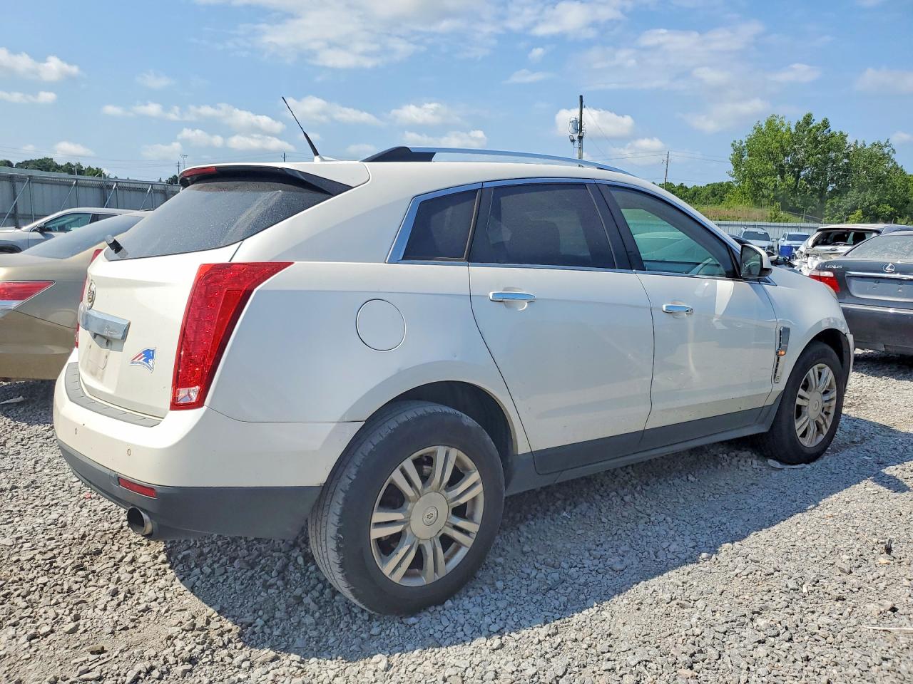 2010 Cadillac Srx Performance Collection Кремовый vin: 3GYFNBEY7AS624727