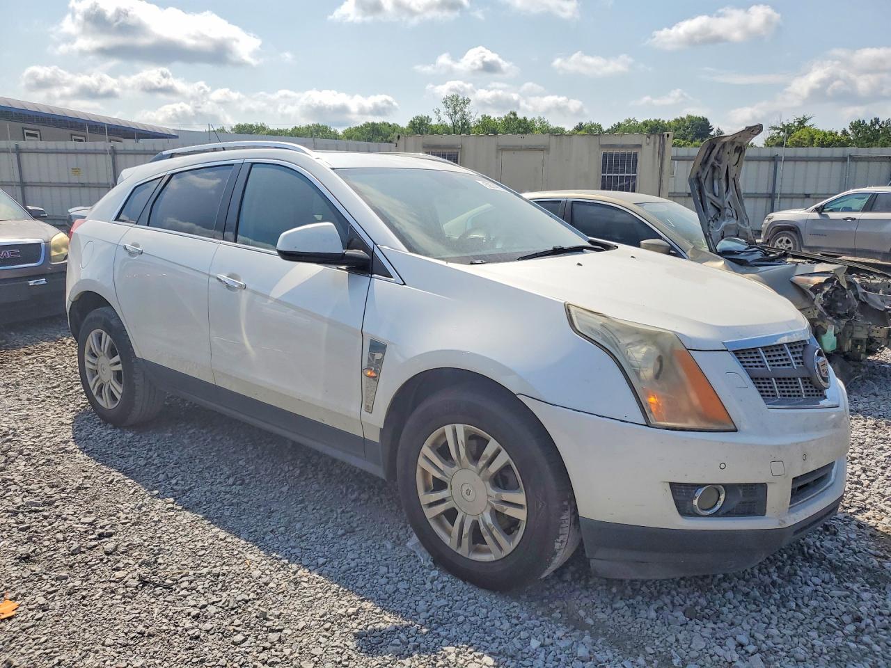 2010 Cadillac Srx Performance Collection Кремовый vin: 3GYFNBEY7AS624727