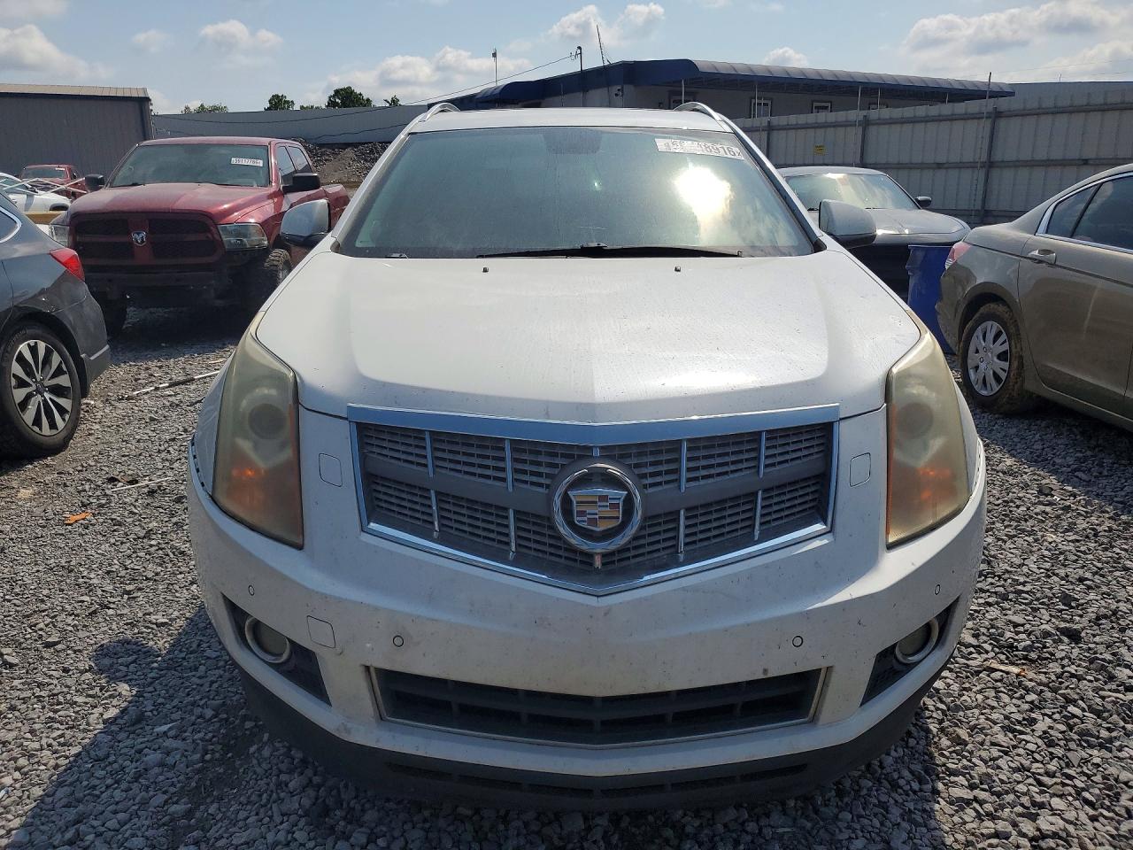 2010 Cadillac Srx Performance Collection Кремовый vin: 3GYFNBEY7AS624727