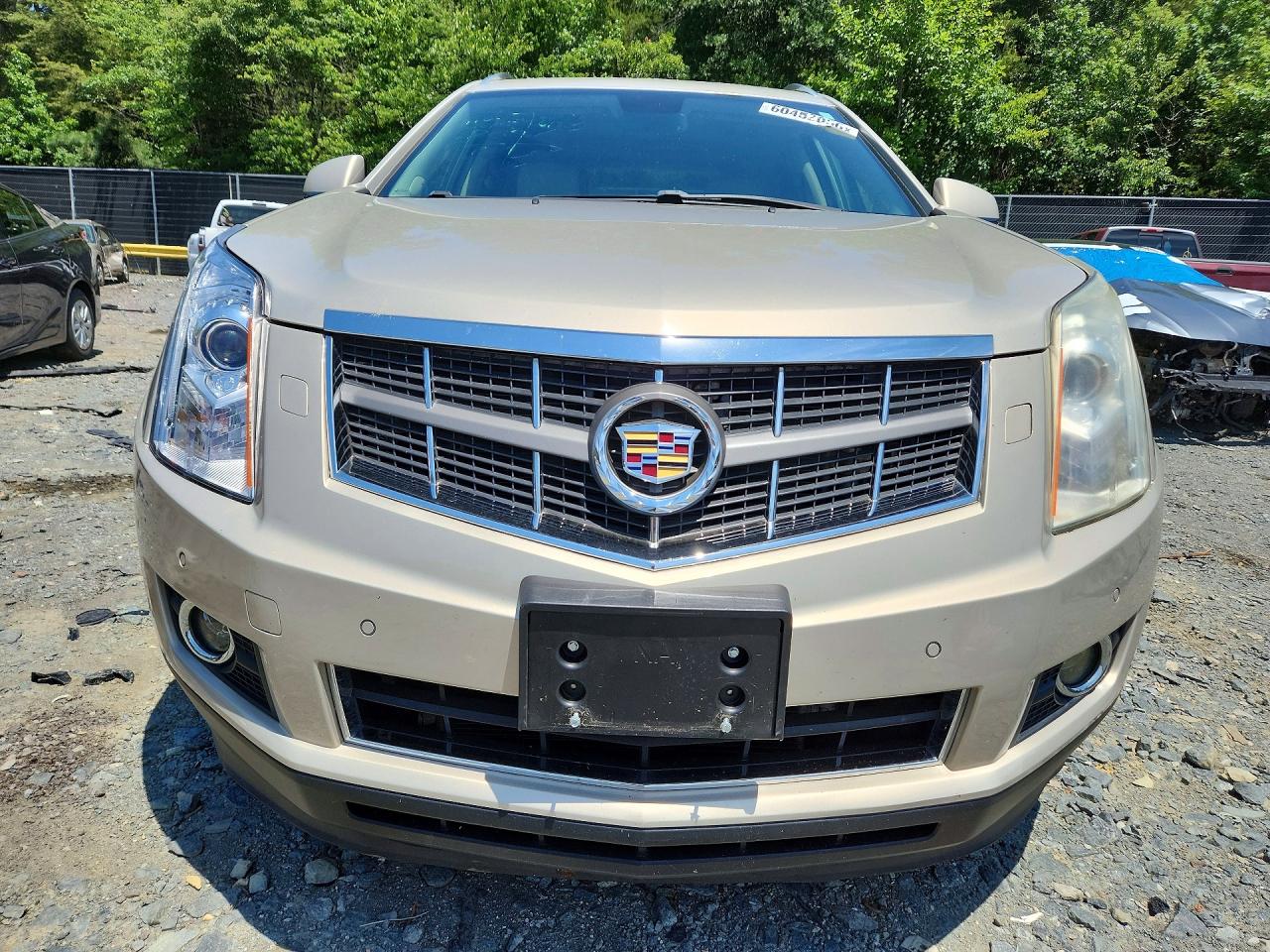 2012 Cadillac Srx Premium Collection Beige vin: 3GYFNCE33CS601748