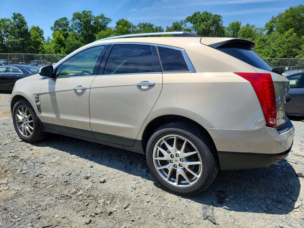 2012 Cadillac Srx Premium Collection Beige vin: 3GYFNCE33CS601748