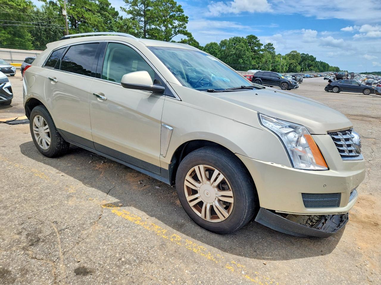 2013 Cadillac Srx Luxury Collection Beige vin: 3GYFNCE36DS637855