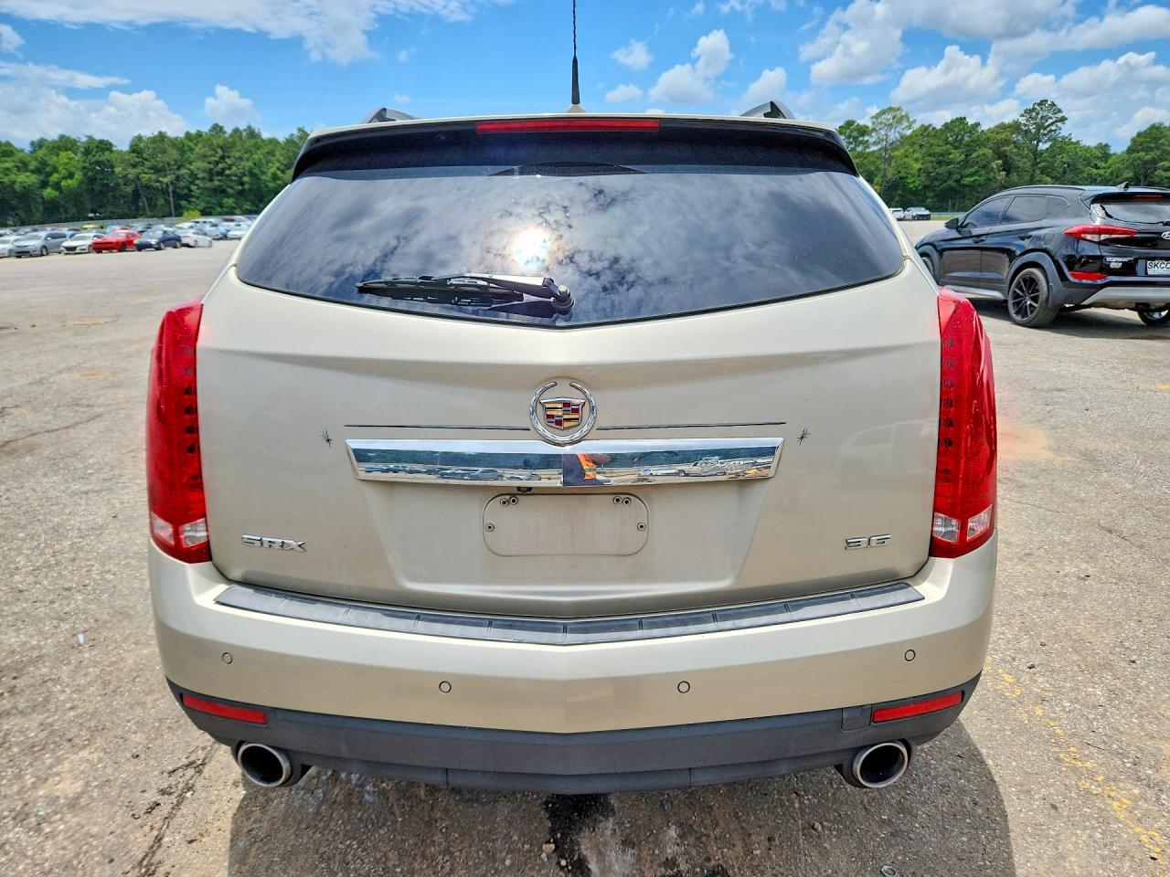 2013 Cadillac Srx Luxury Collection Beige vin: 3GYFNCE36DS637855
