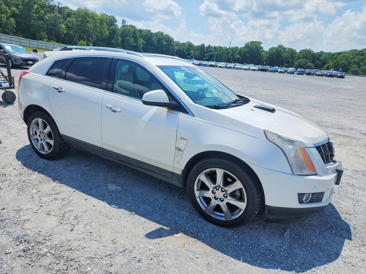 2012 Cadillac Srx Premium Collection White vin: 3GYFNCE39CS543905