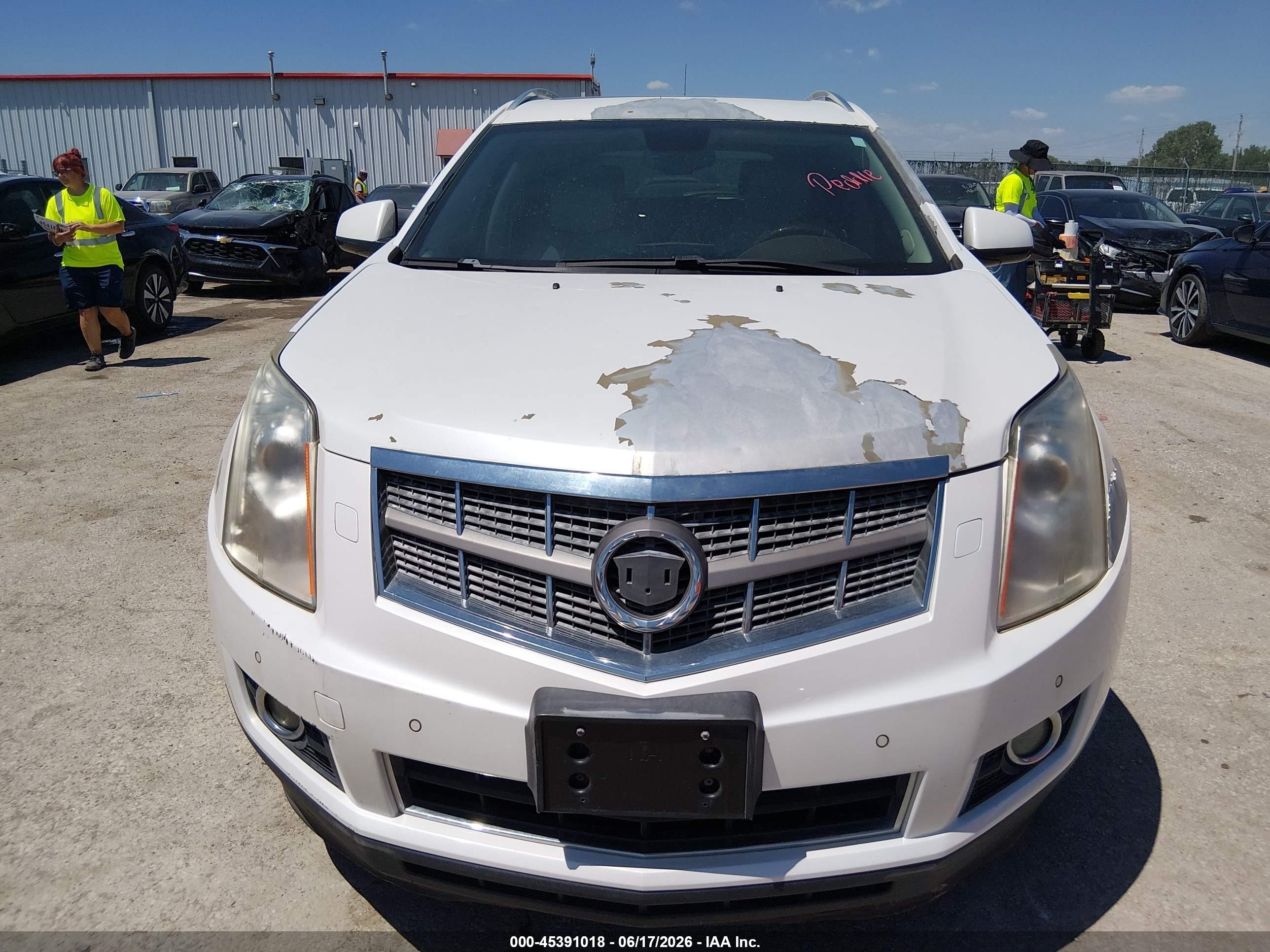 2012 Cadillac Srx Premium Collection Белый vin: 3GYFNCE39CS570635