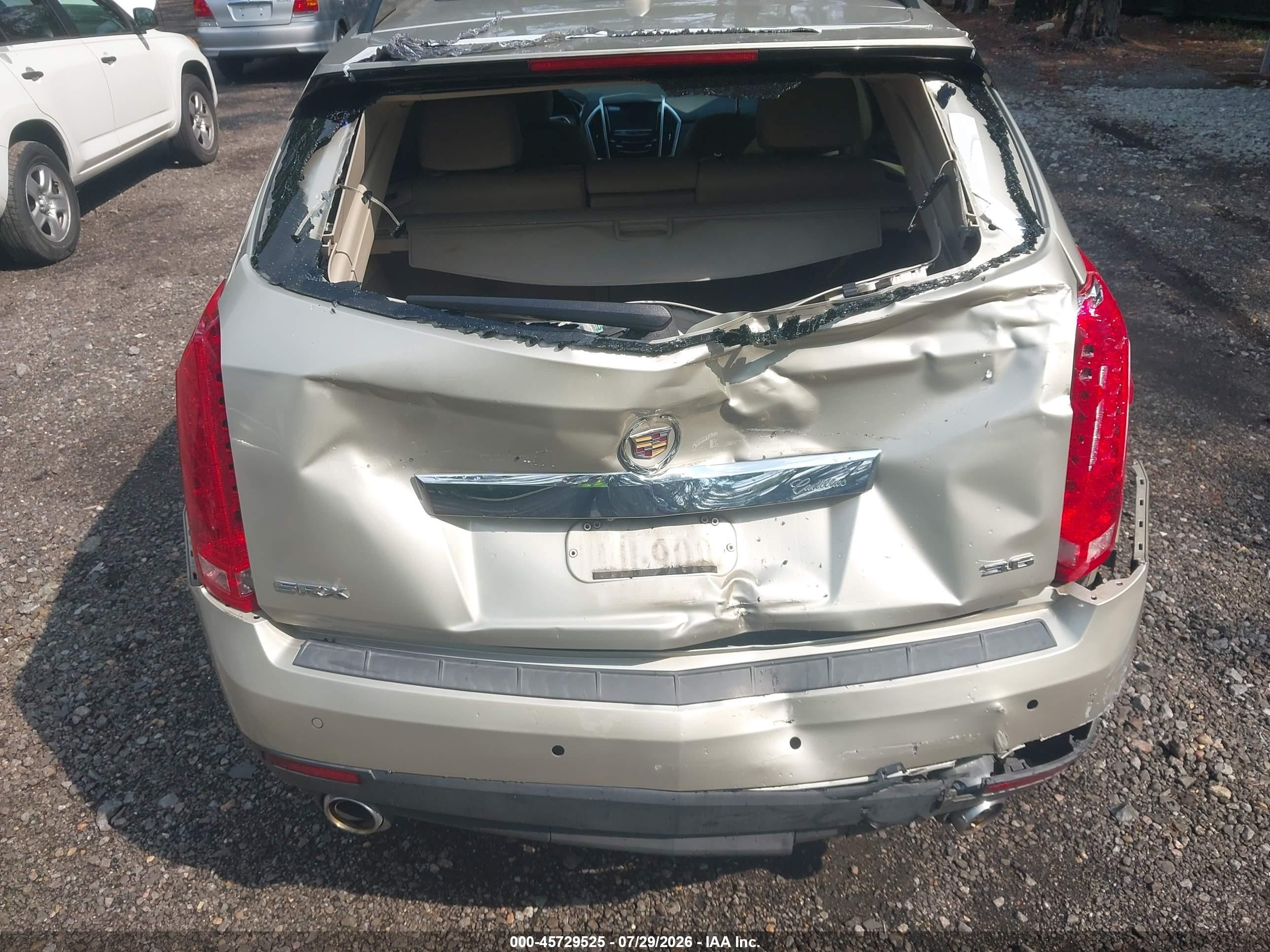2013 Cadillac Srx Luxury Collection Gold vin: 3GYFNCE39DS555912