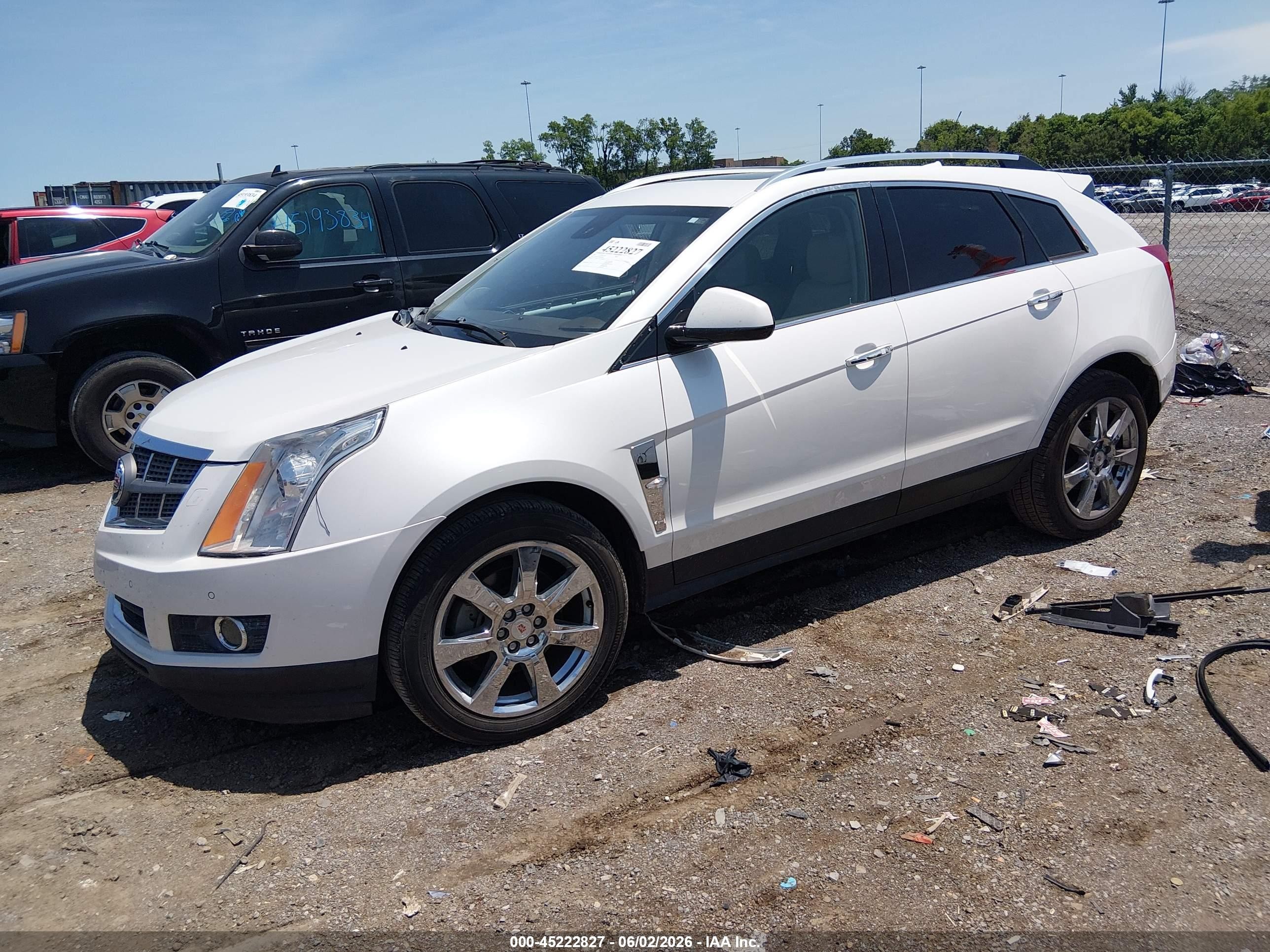 2011 Cadillac Srx Premium Collection Cream vin: 3GYFNCEY6BS559781