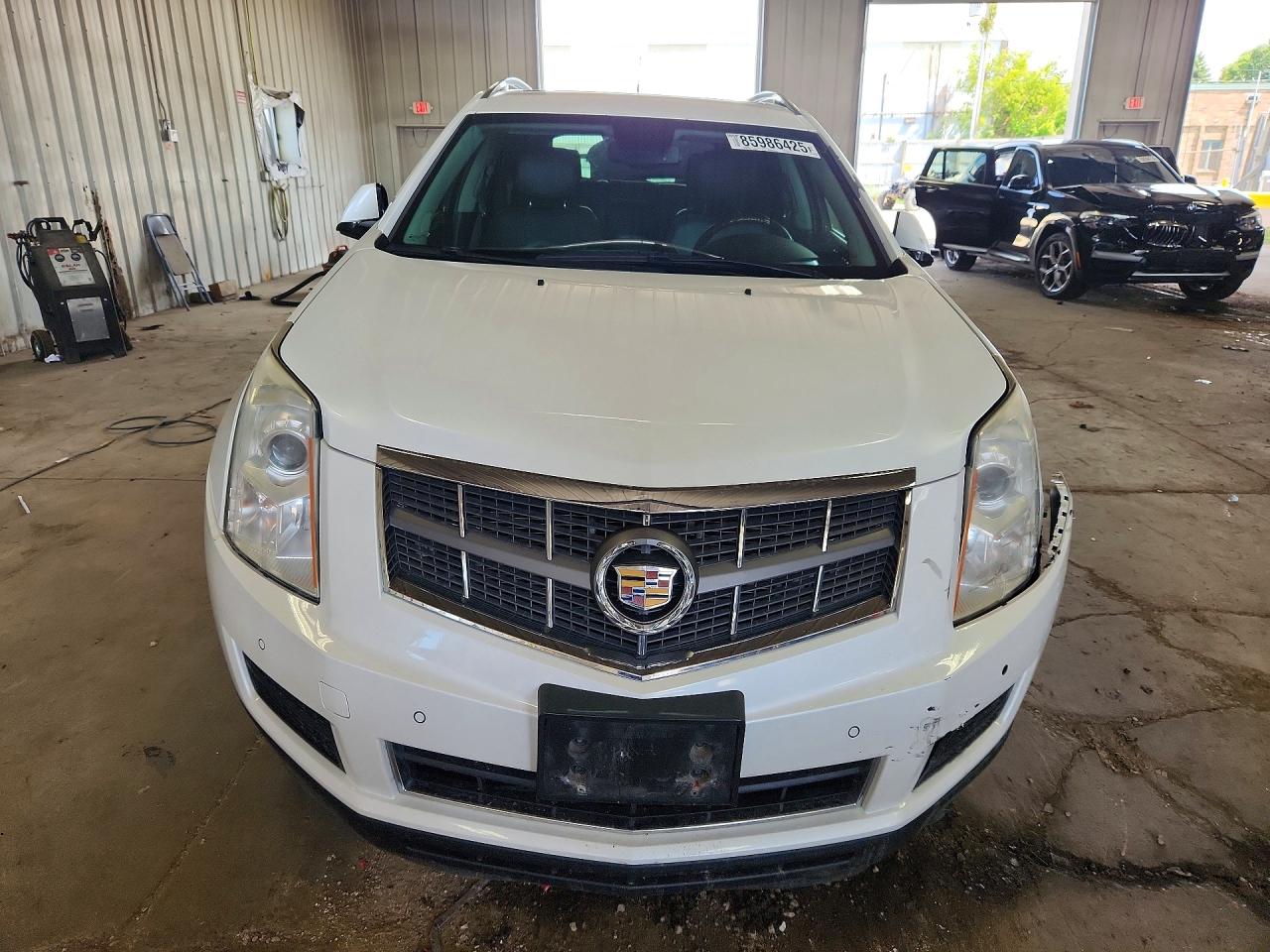 2012 Cadillac Srx Luxury Collection White vin: 3GYFNDE31CS572370