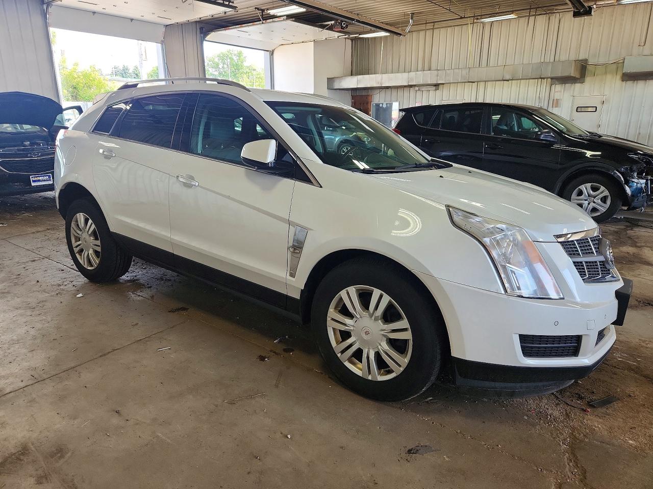 2012 Cadillac Srx Luxury Collection White vin: 3GYFNDE31CS572370