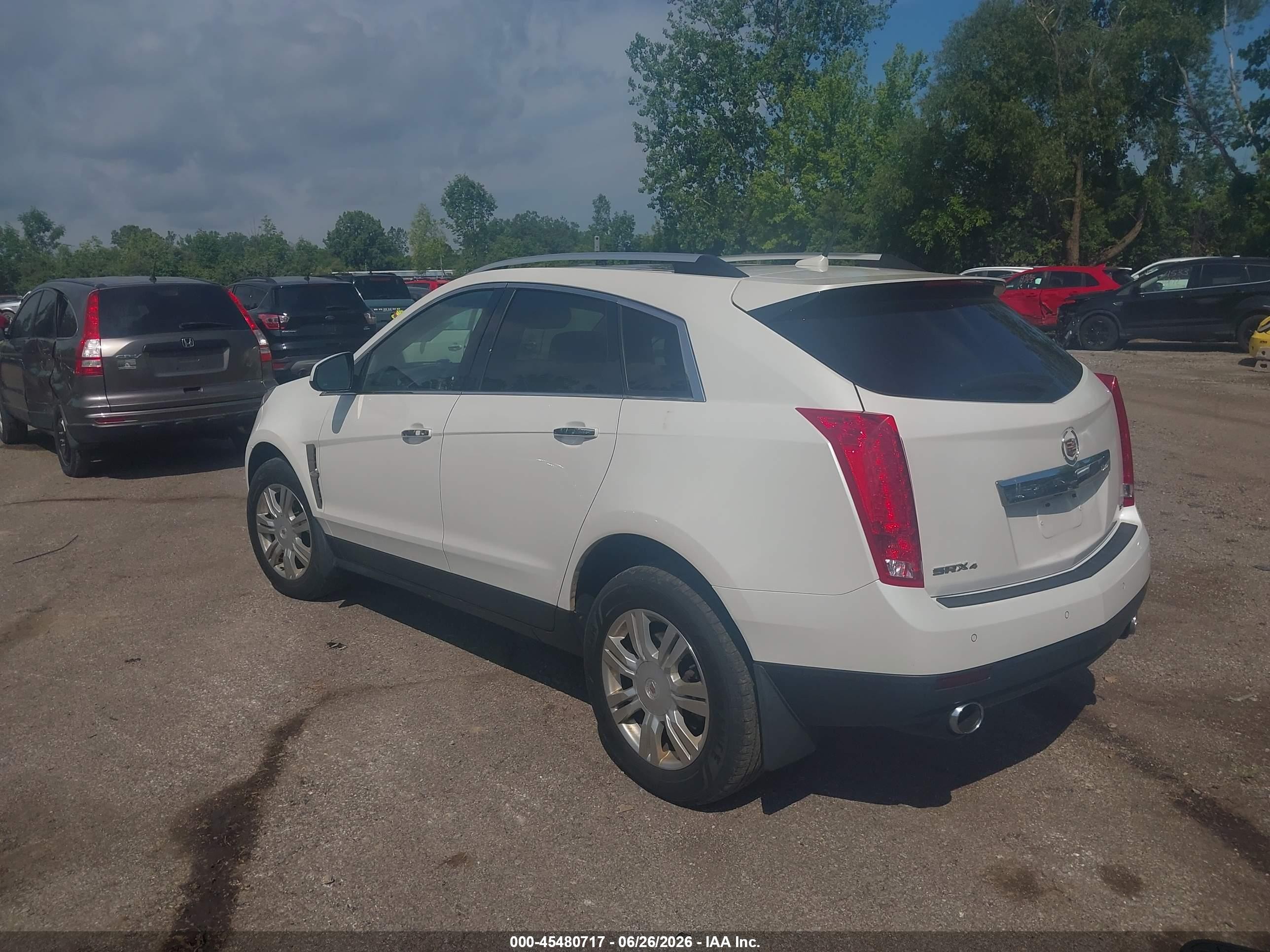 2012 Cadillac Srx Luxury Collection White vin: 3GYFNDE31CS604234