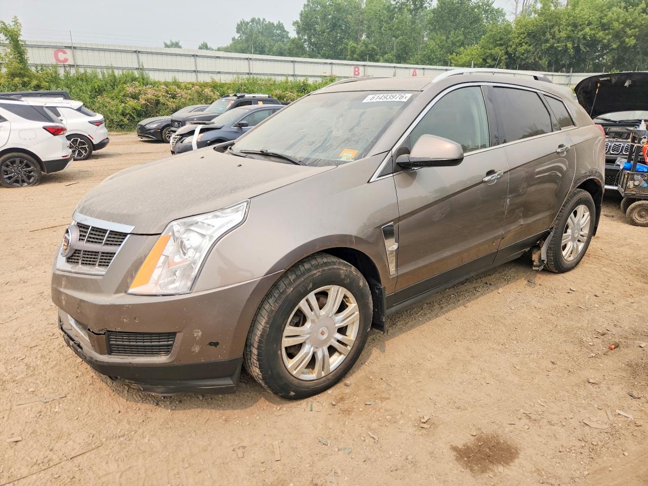 2012 Cadillac Srx Luxury Collection Brown vin: 3GYFNDE34CS560472