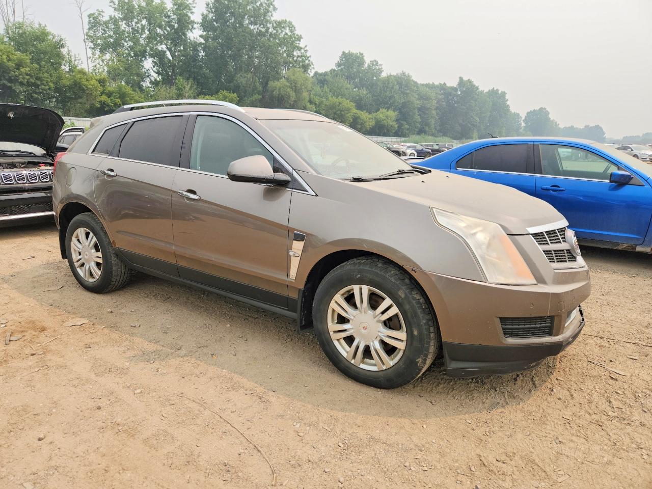 2012 Cadillac Srx Luxury Collection Brown vin: 3GYFNDE34CS560472