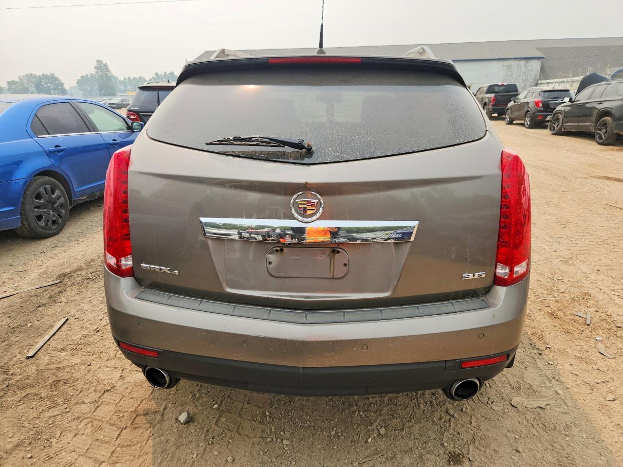 2012 Cadillac Srx Luxury Collection Brown vin: 3GYFNDE34CS560472