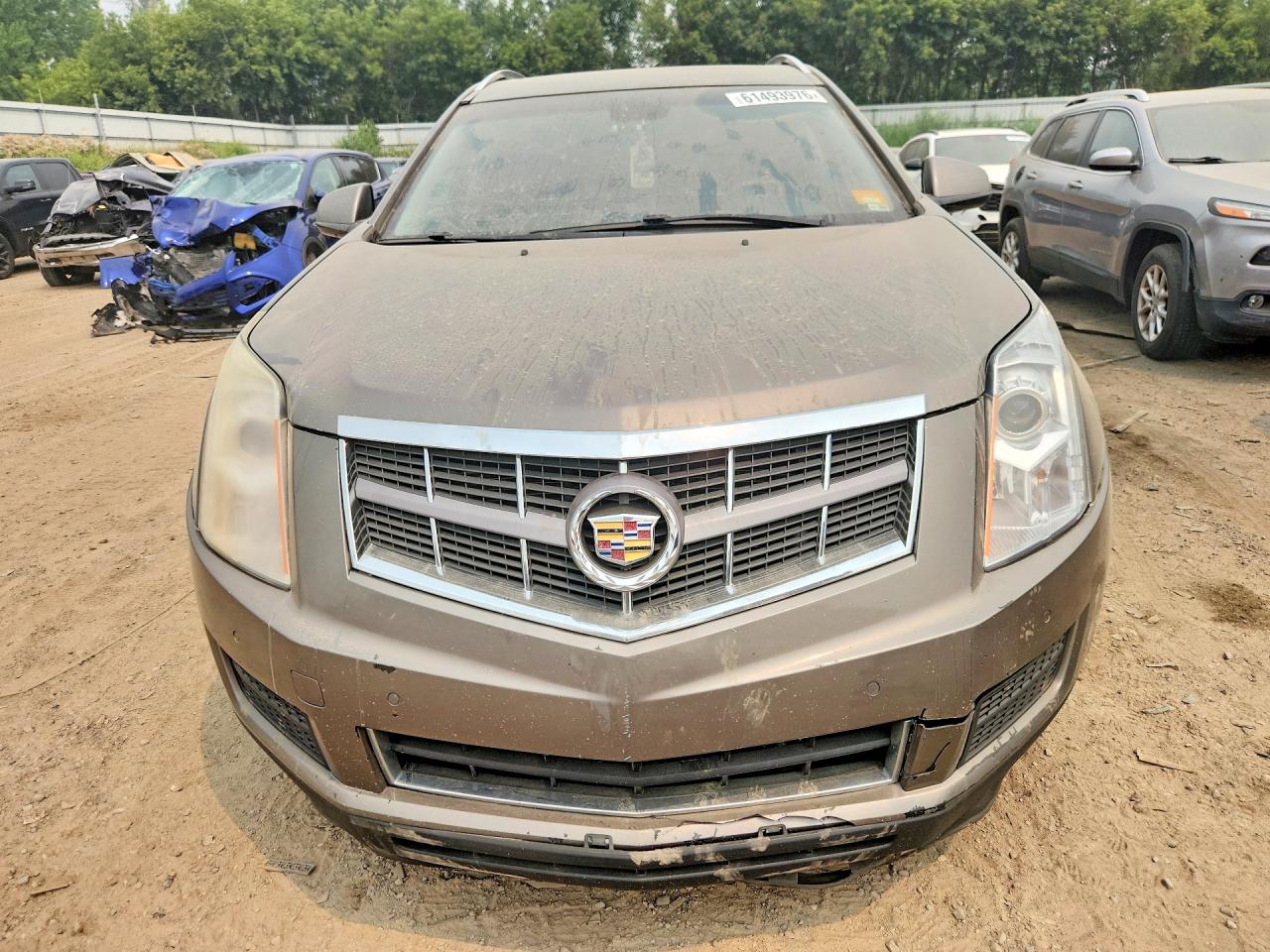 2012 Cadillac Srx Luxury Collection Brown vin: 3GYFNDE34CS560472