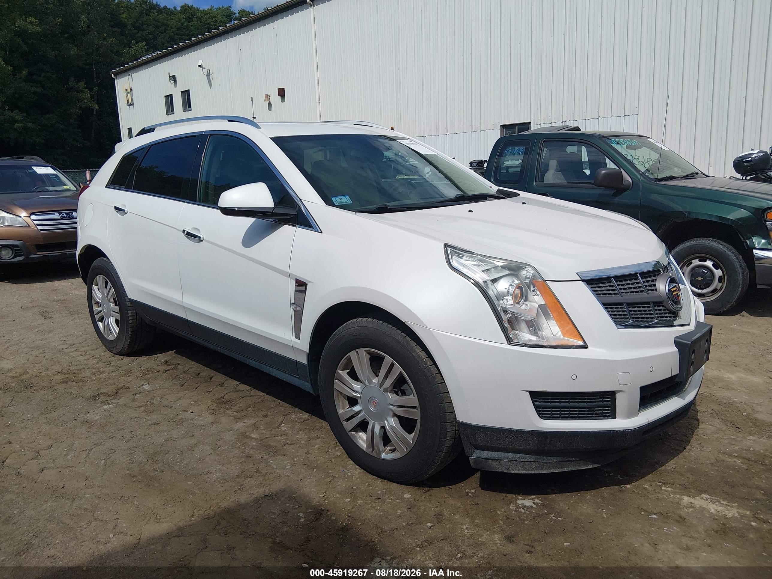 2012 Cadillac Srx Luxury Collection White vin: 3GYFNDE35CS533541