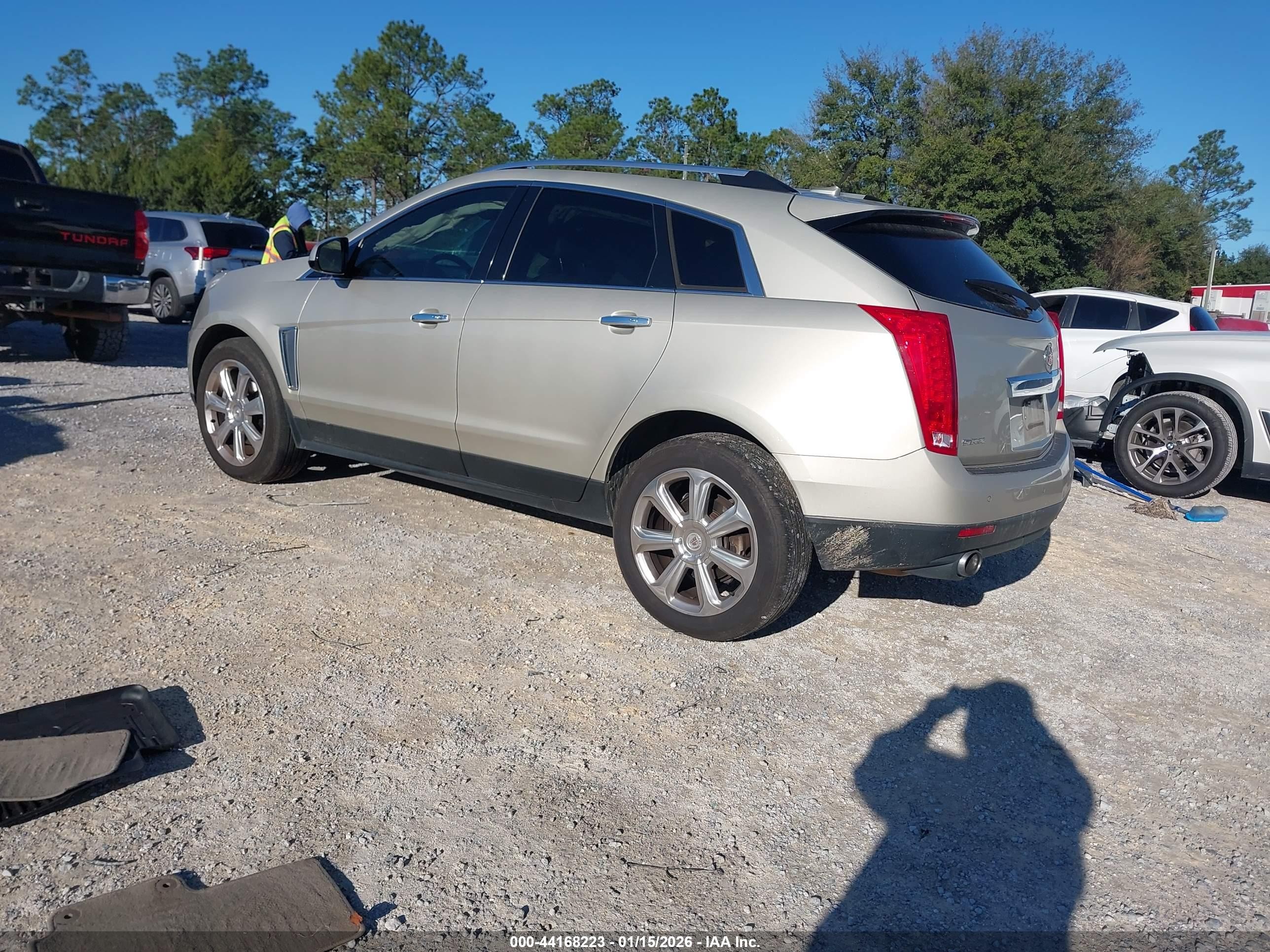 2013 Cadillac Srx Performance Collection Champagne vin: 3GYFNDE38DS601655
