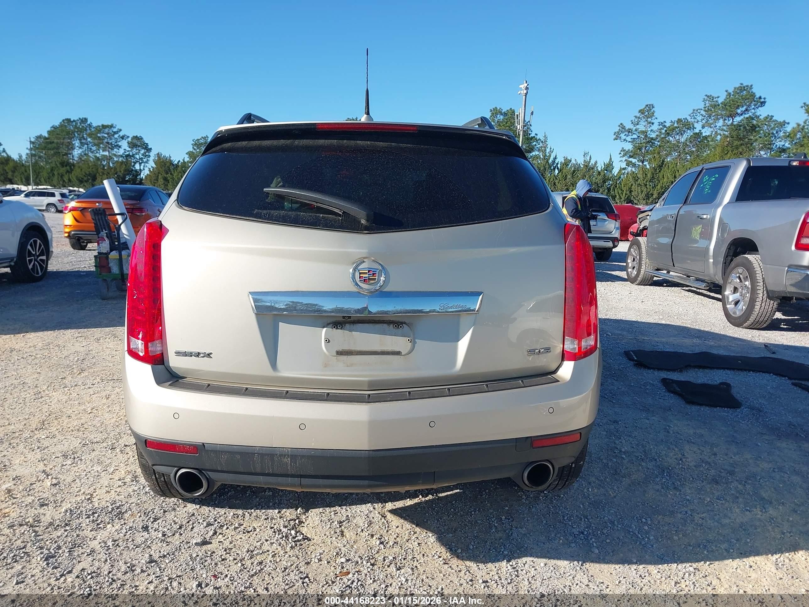 2013 Cadillac Srx Performance Collection Champagne vin: 3GYFNDE38DS601655