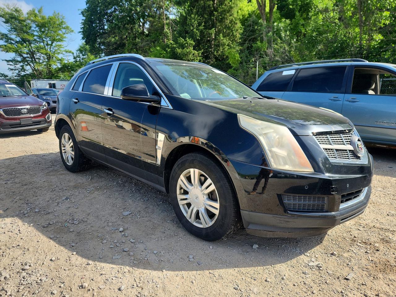 2010 Cadillac Srx Luxury Collection Black vin: 3GYFNDEY0AS541135