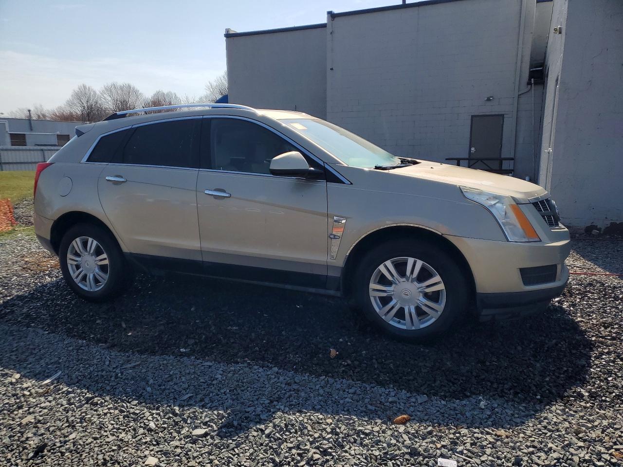 2010 Cadillac Srx Luxury Collection Cream vin: 3GYFNDEY0AS544066