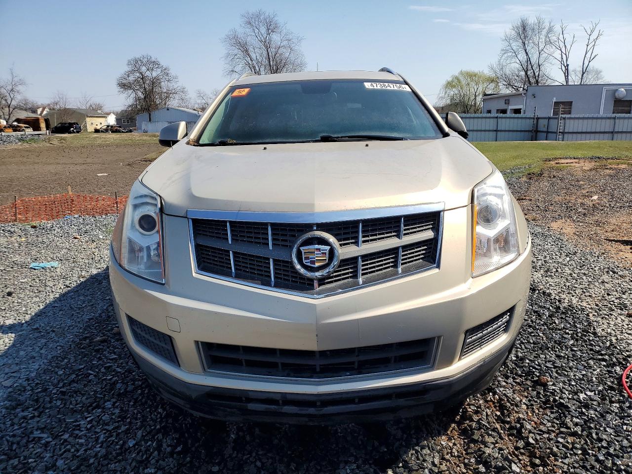 2010 Cadillac Srx Luxury Collection Cream vin: 3GYFNDEY0AS544066