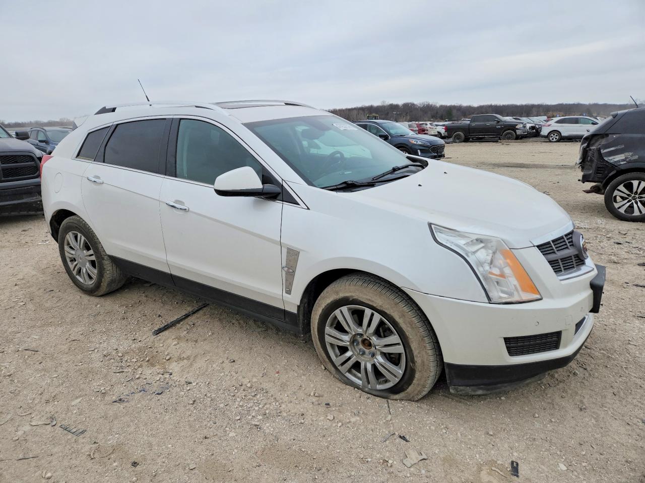 2010 Cadillac Srx Luxury Collection White vin: 3GYFNDEY0AS640540