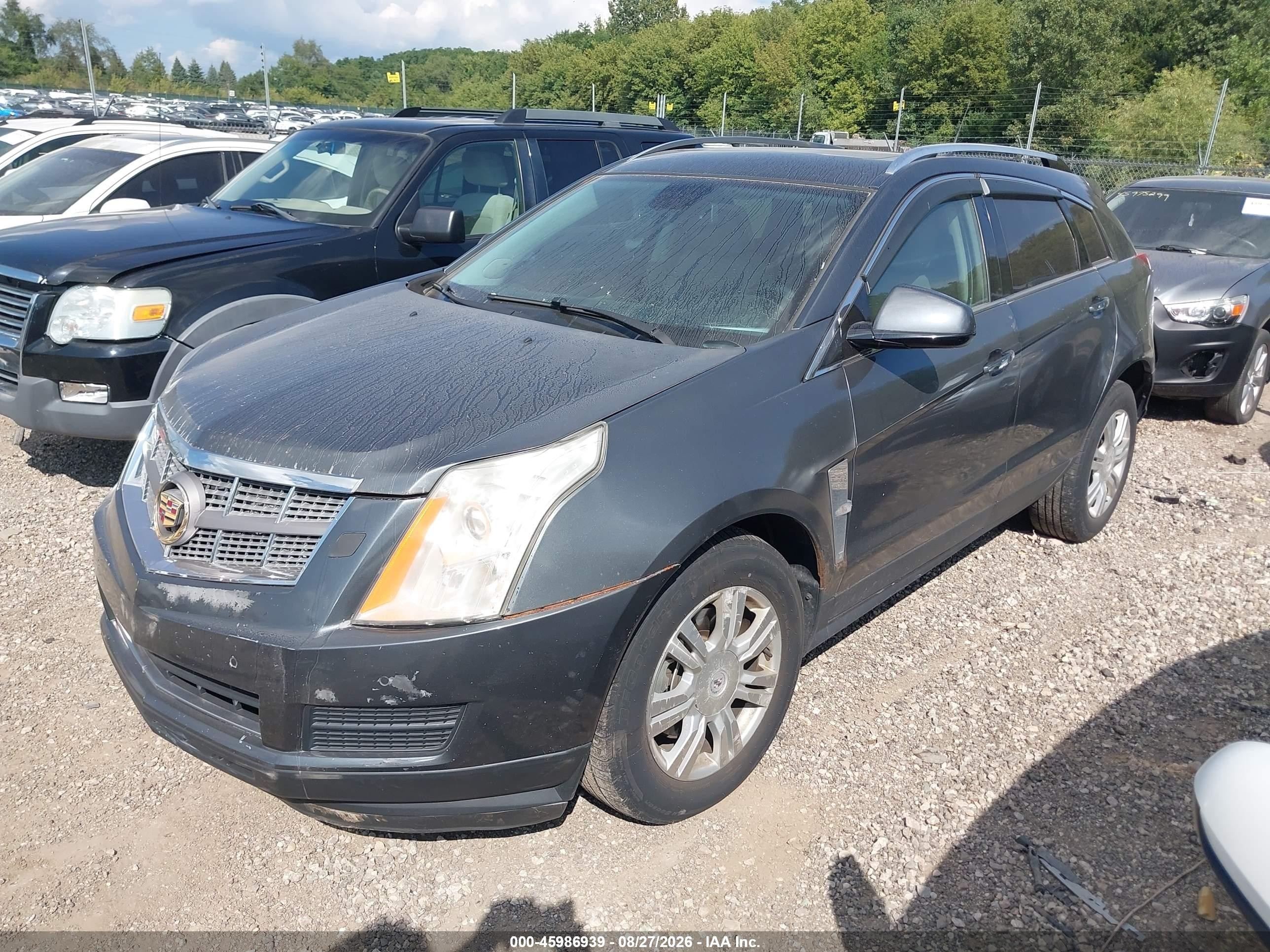 2011 Cadillac Srx Luxury Collection Gray vin: 3GYFNDEY1BS564294