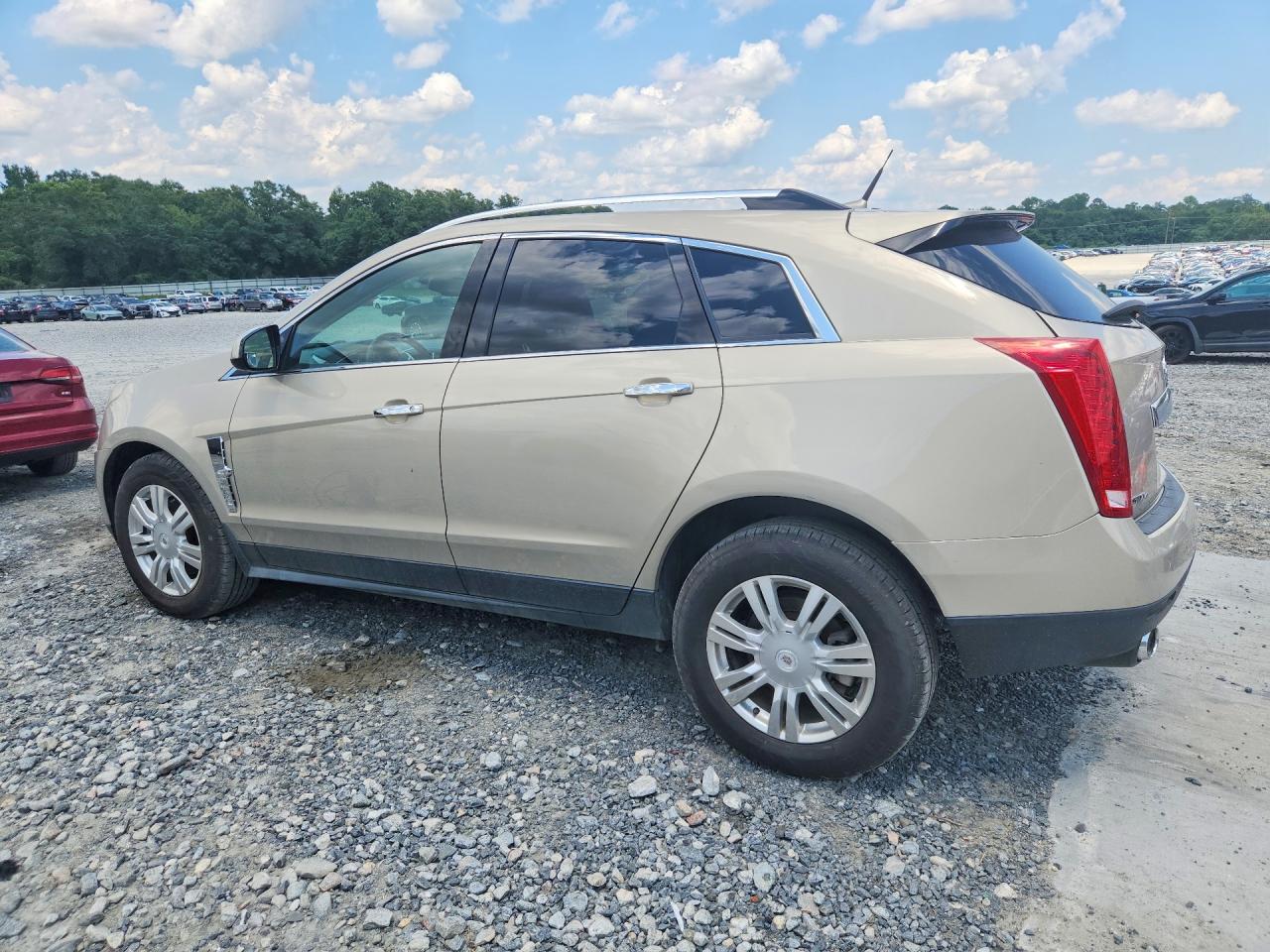 2010 Cadillac Srx Luxury Collection Beige vin: 3GYFNDEY2AS647831
