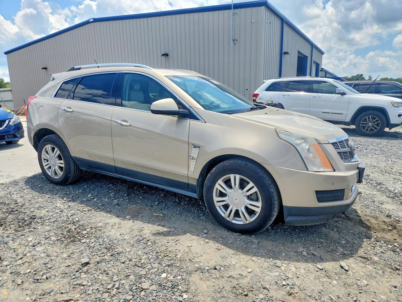 2010 Cadillac Srx Luxury Collection Beige vin: 3GYFNDEY2AS647831