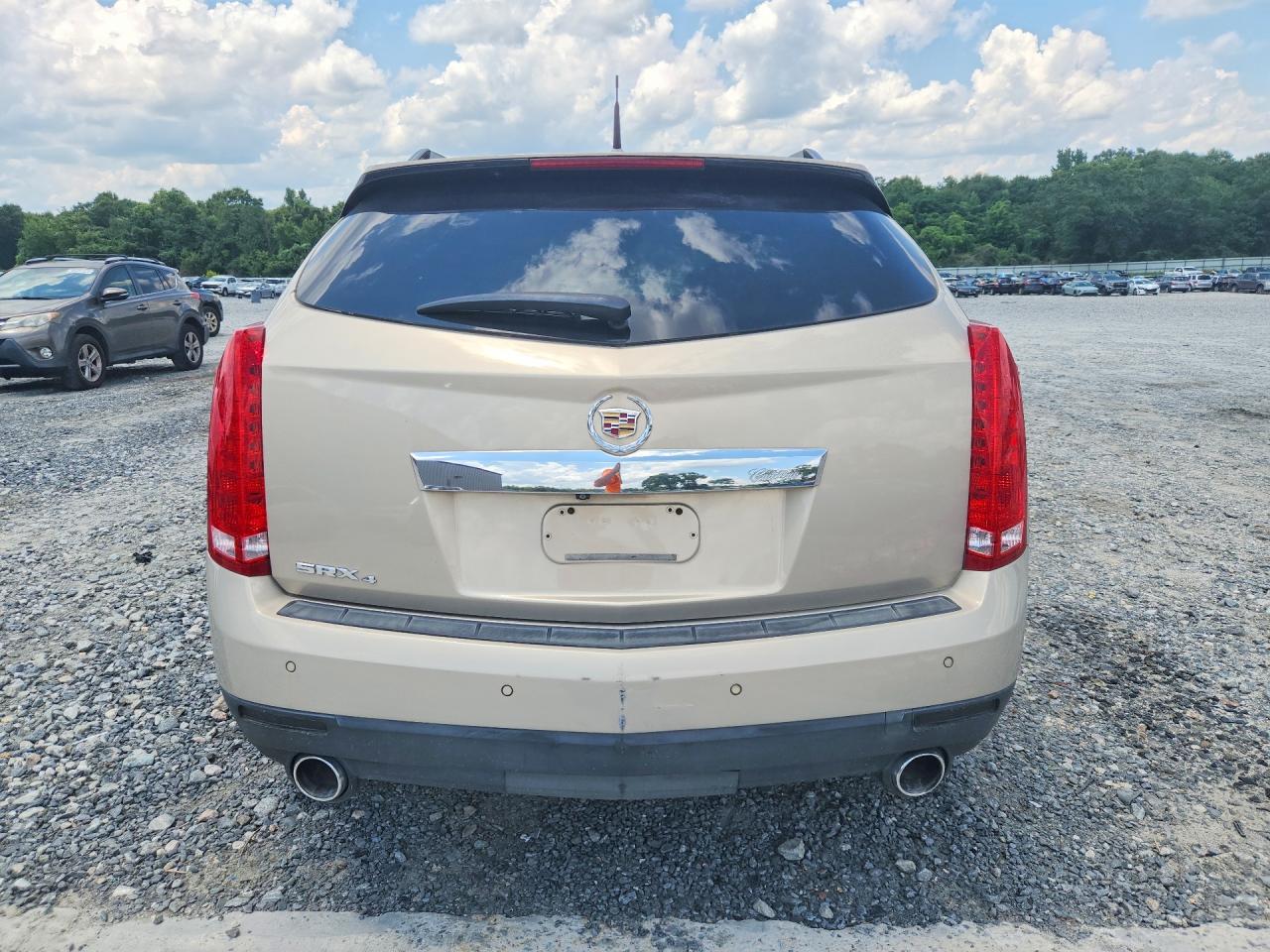 2010 Cadillac Srx Luxury Collection Beige vin: 3GYFNDEY2AS647831