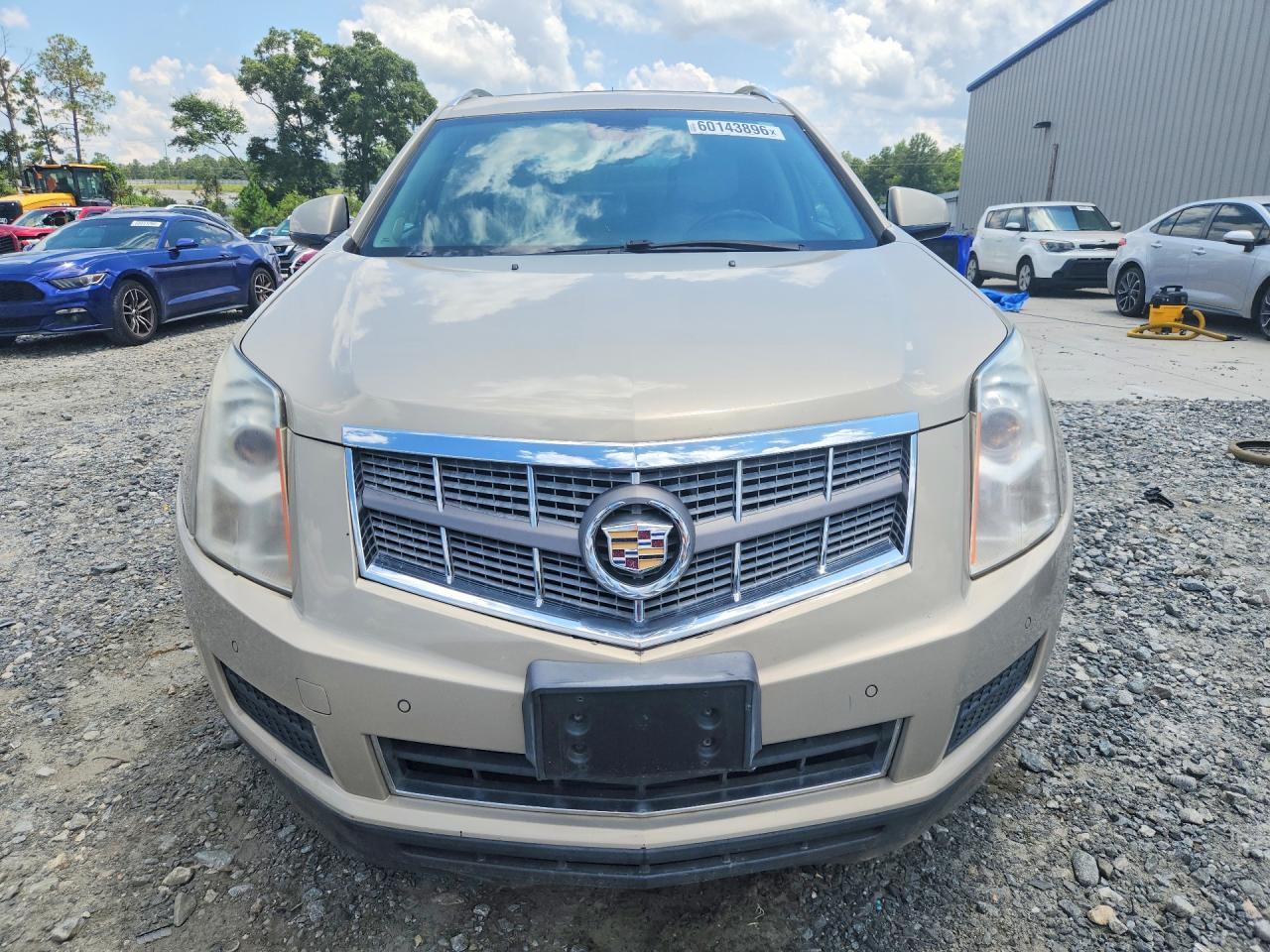2010 Cadillac Srx Luxury Collection Beige vin: 3GYFNDEY2AS647831