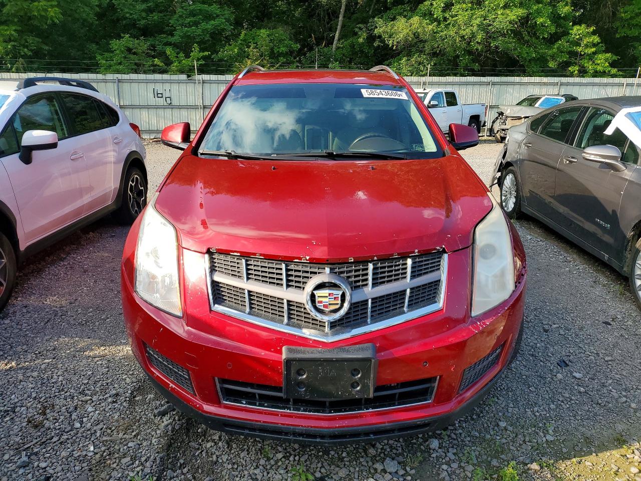 2010 Cadillac Srx Luxury Collection Бордовый vin: 3GYFNDEY3AS643819