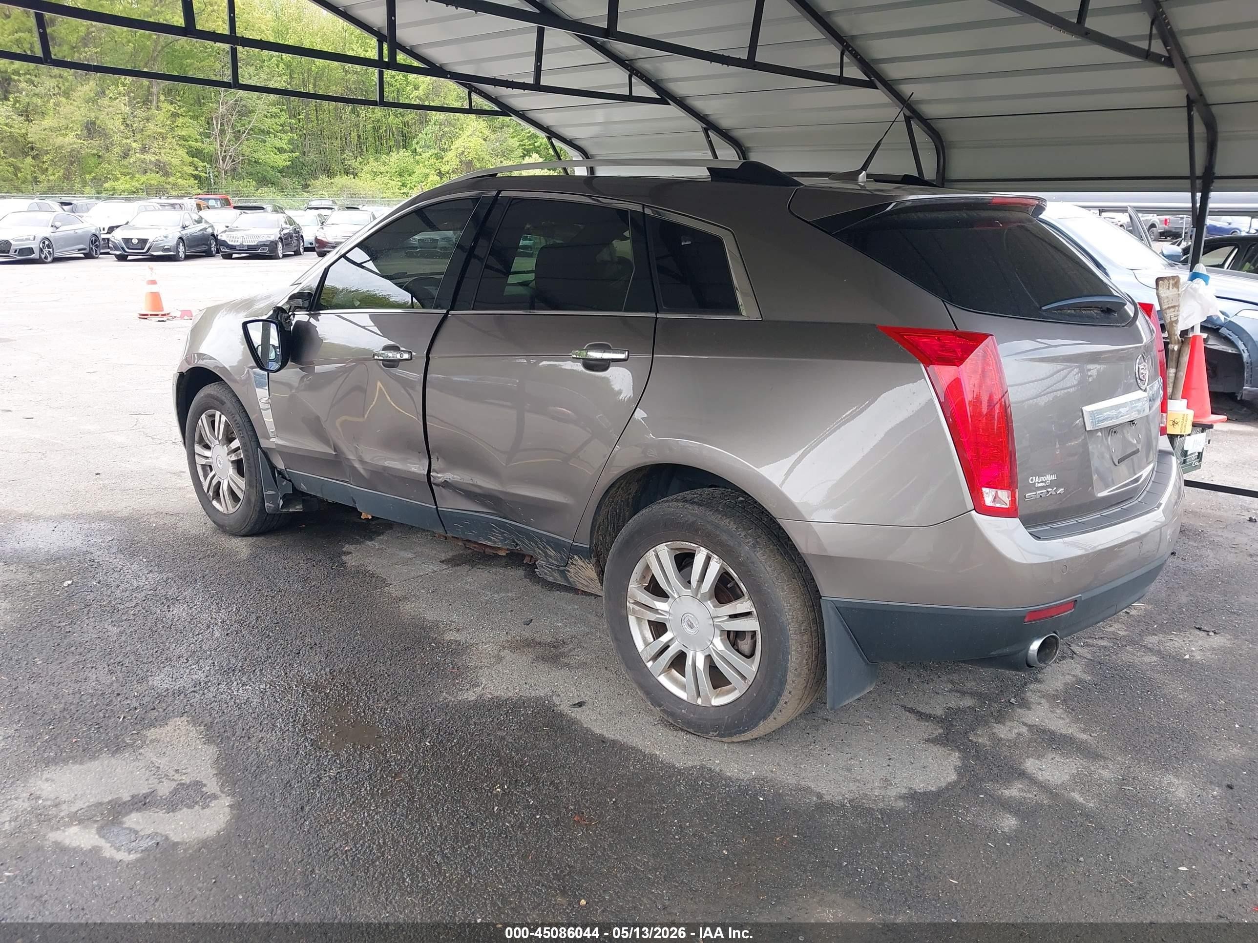 2011 Cadillac Srx Luxury Collection Beige vin: 3GYFNDEY3BS566578