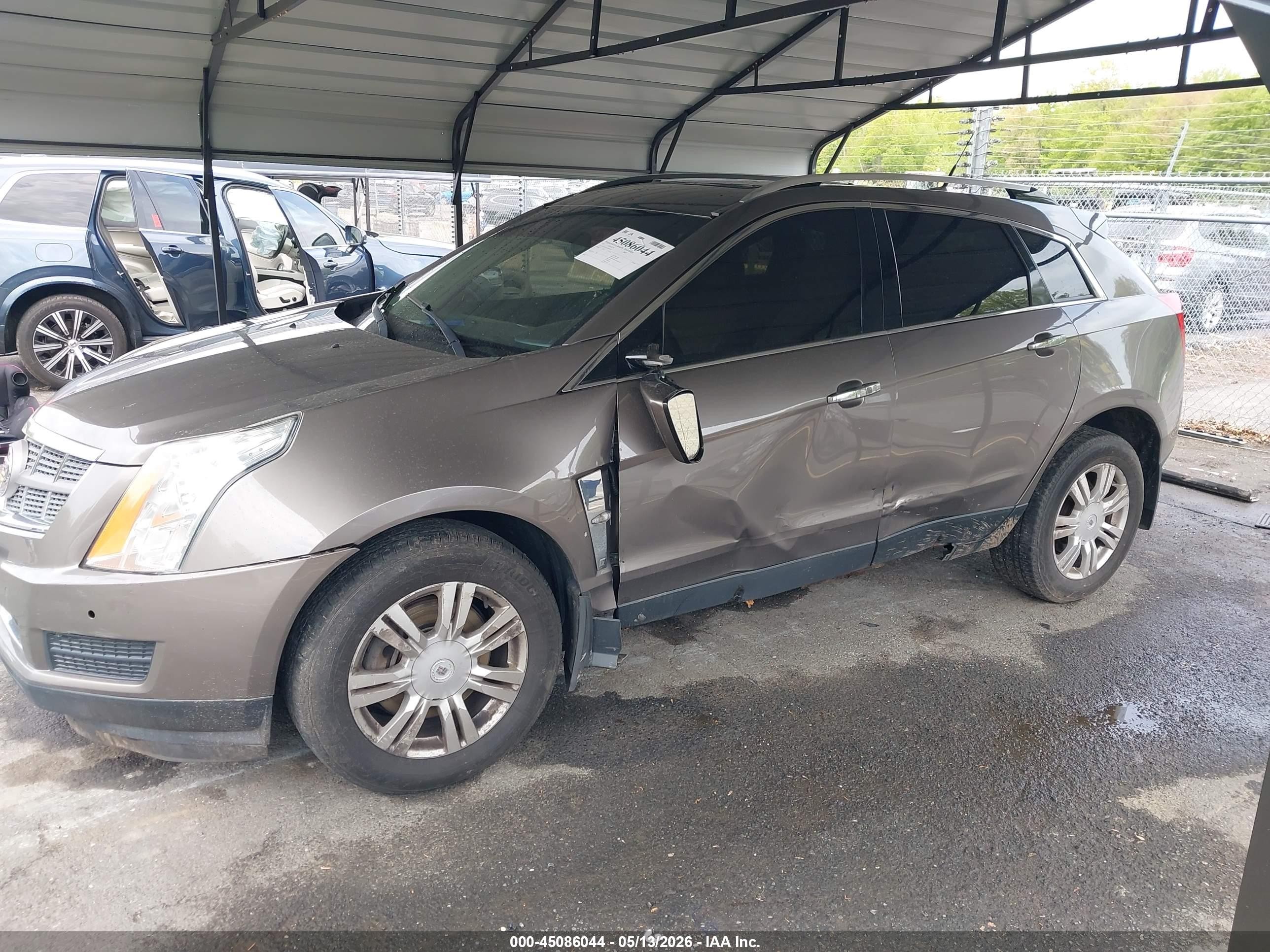 2011 Cadillac Srx Luxury Collection Beige vin: 3GYFNDEY3BS566578