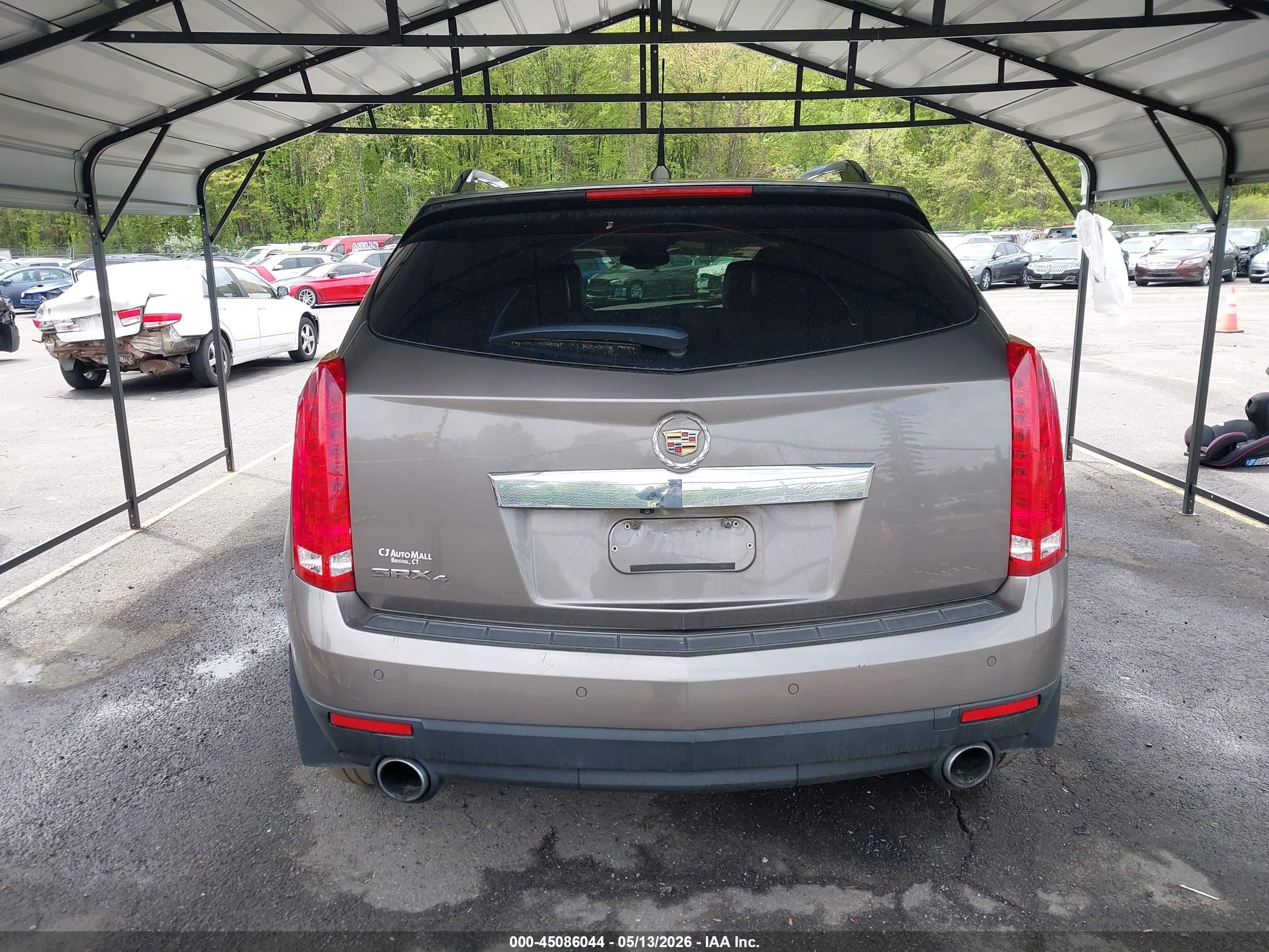 2011 Cadillac Srx Luxury Collection Beige vin: 3GYFNDEY3BS566578