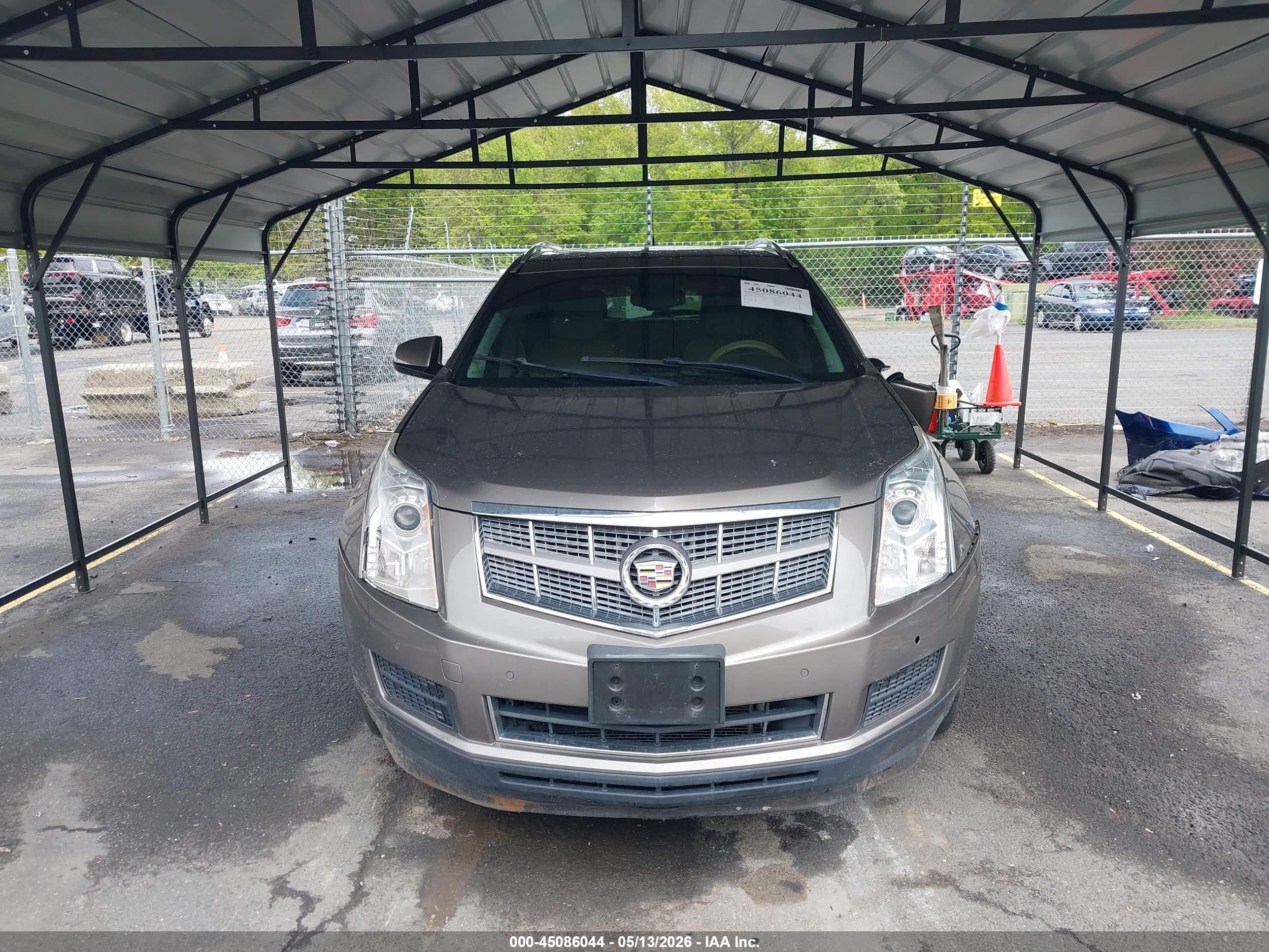 2011 Cadillac Srx Luxury Collection Beige vin: 3GYFNDEY3BS566578