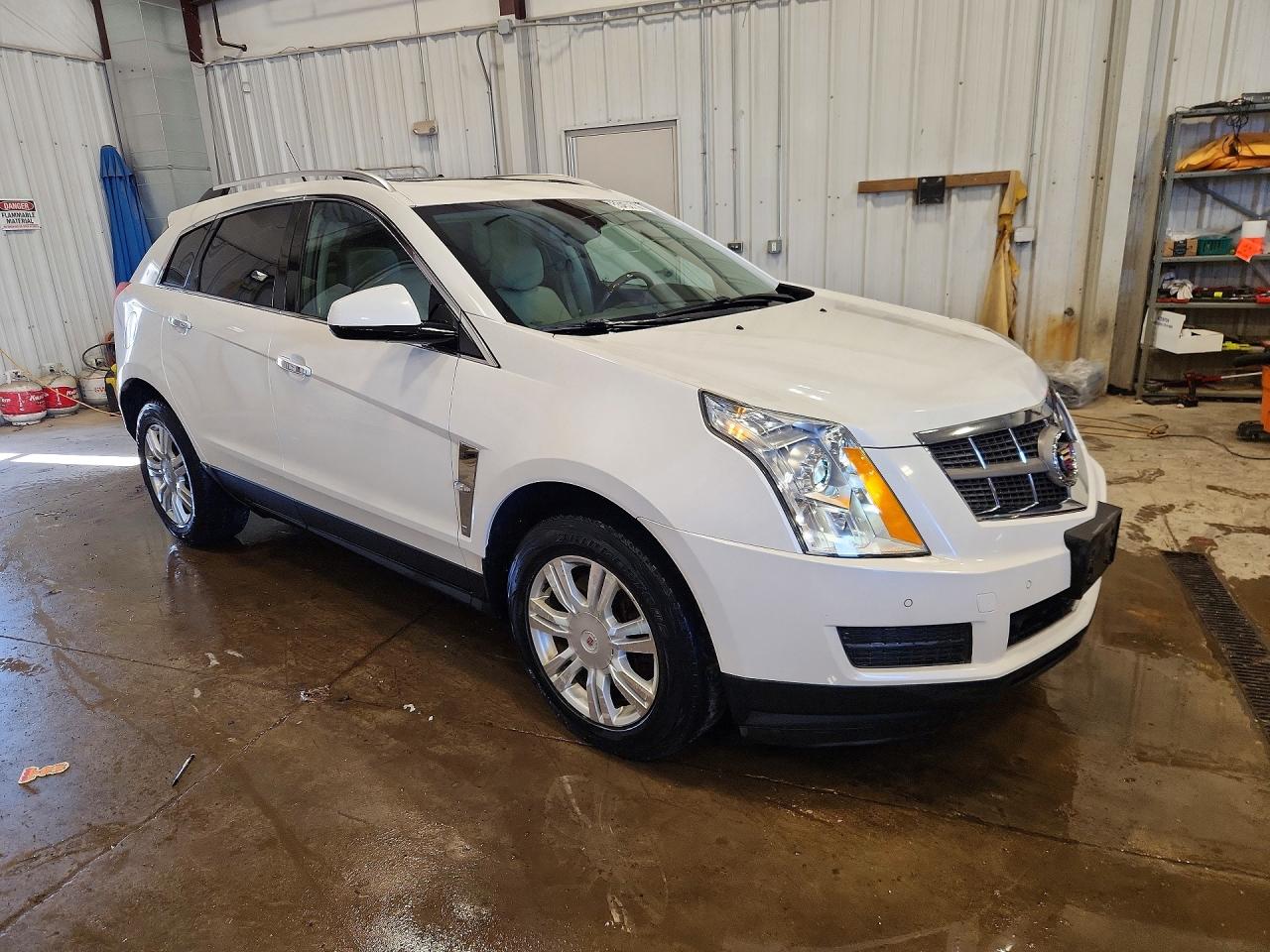 2010 Cadillac Srx Luxury Collection White vin: 3GYFNDEY4AS650925