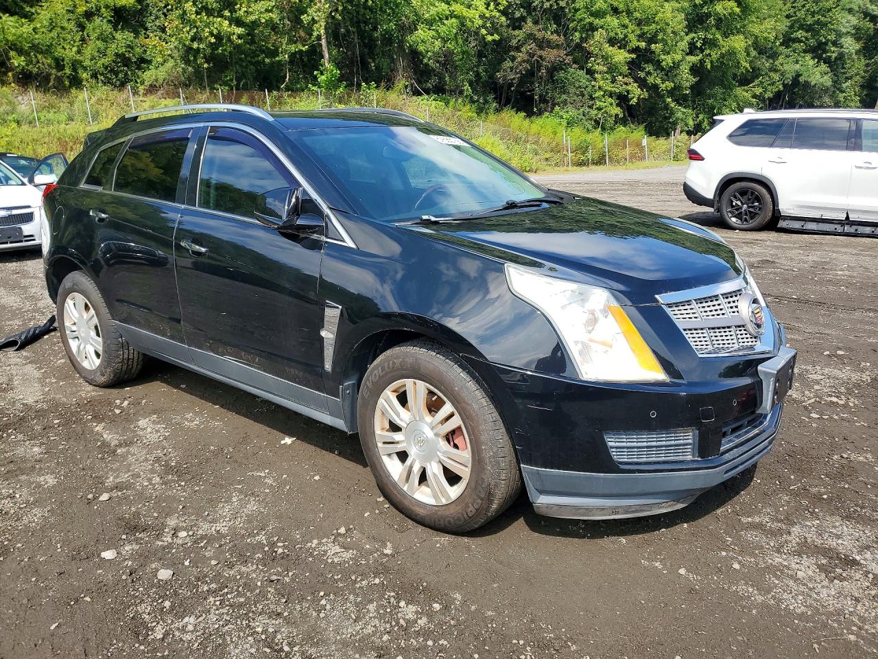 2010 Cadillac Srx Luxury Collection Black vin: 3GYFNDEY5AS611972