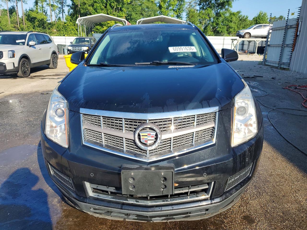 2011 Cadillac Srx Luxury Collection Black vin: 3GYFNDEY6BS679487