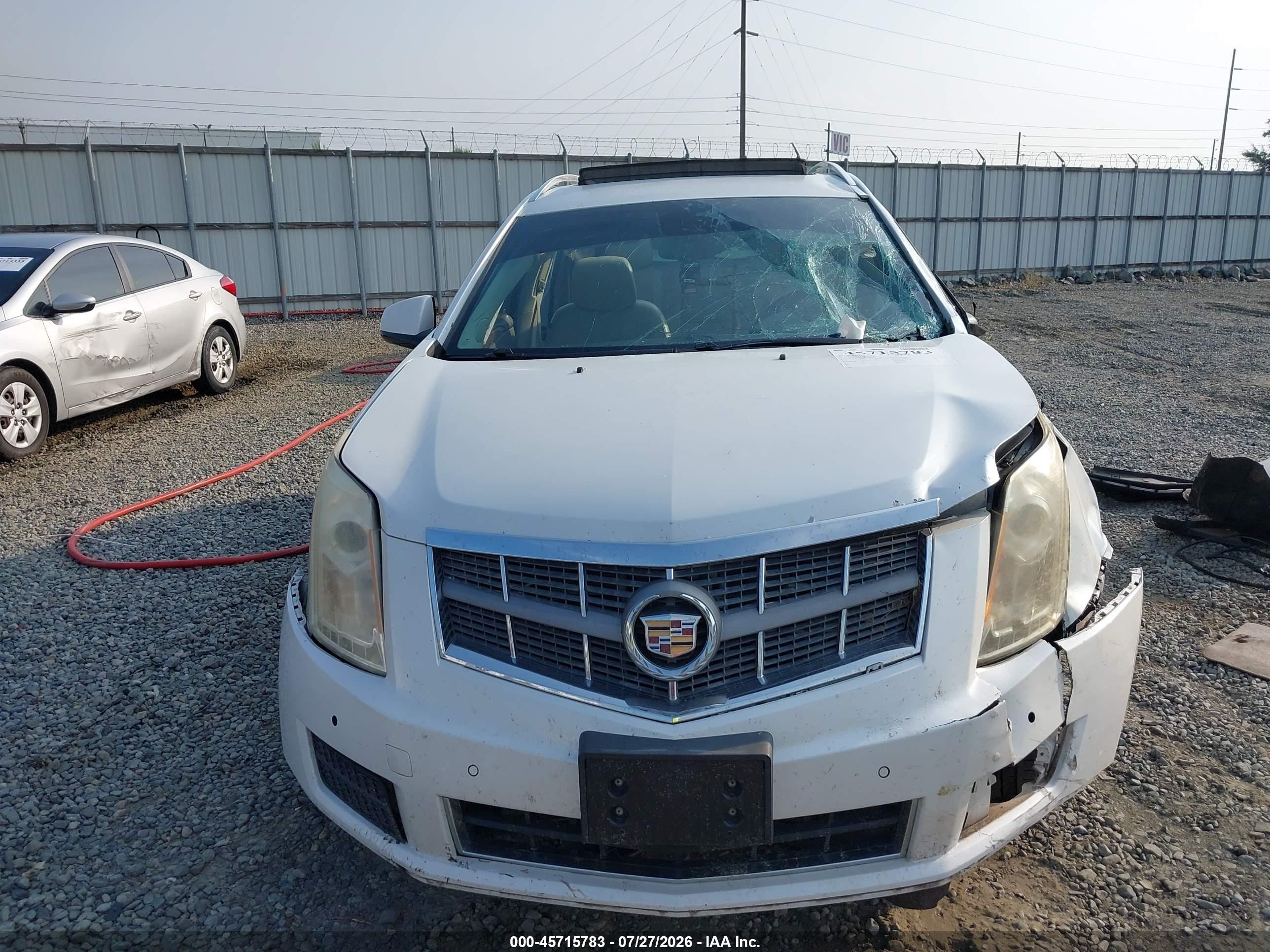 2011 Cadillac Srx Luxury Collection Белый vin: 3GYFNDEY7BS583299