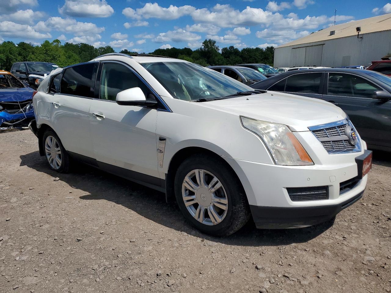 2010 Cadillac Srx Luxury Collection White vin: 3GYFNDEY8AS642472