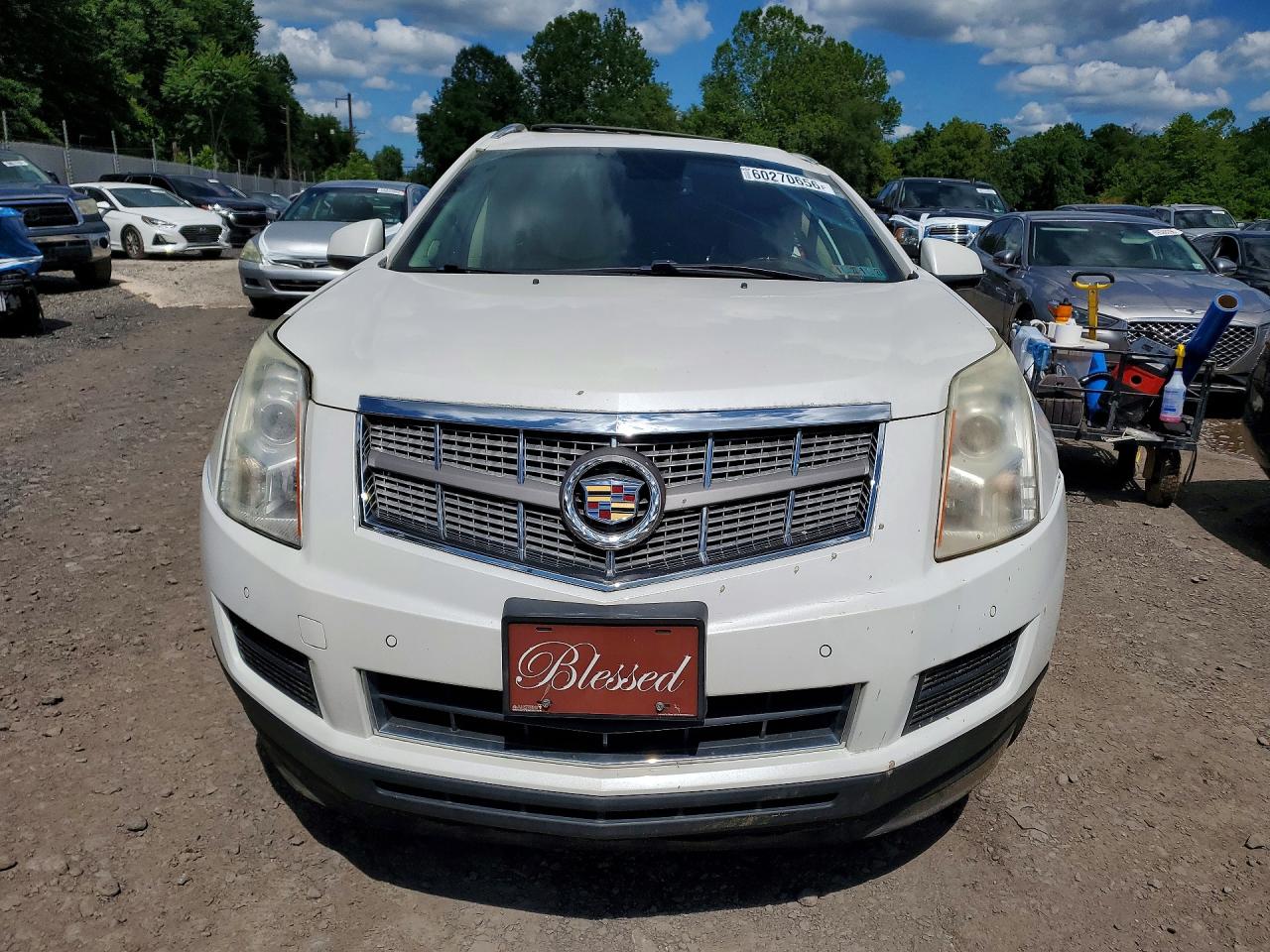 2010 Cadillac Srx Luxury Collection White vin: 3GYFNDEY8AS642472
