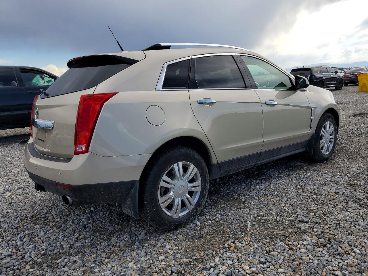 2011 Cadillac Srx Luxury Collection Gold vin: 3GYFNDEY8BS528876