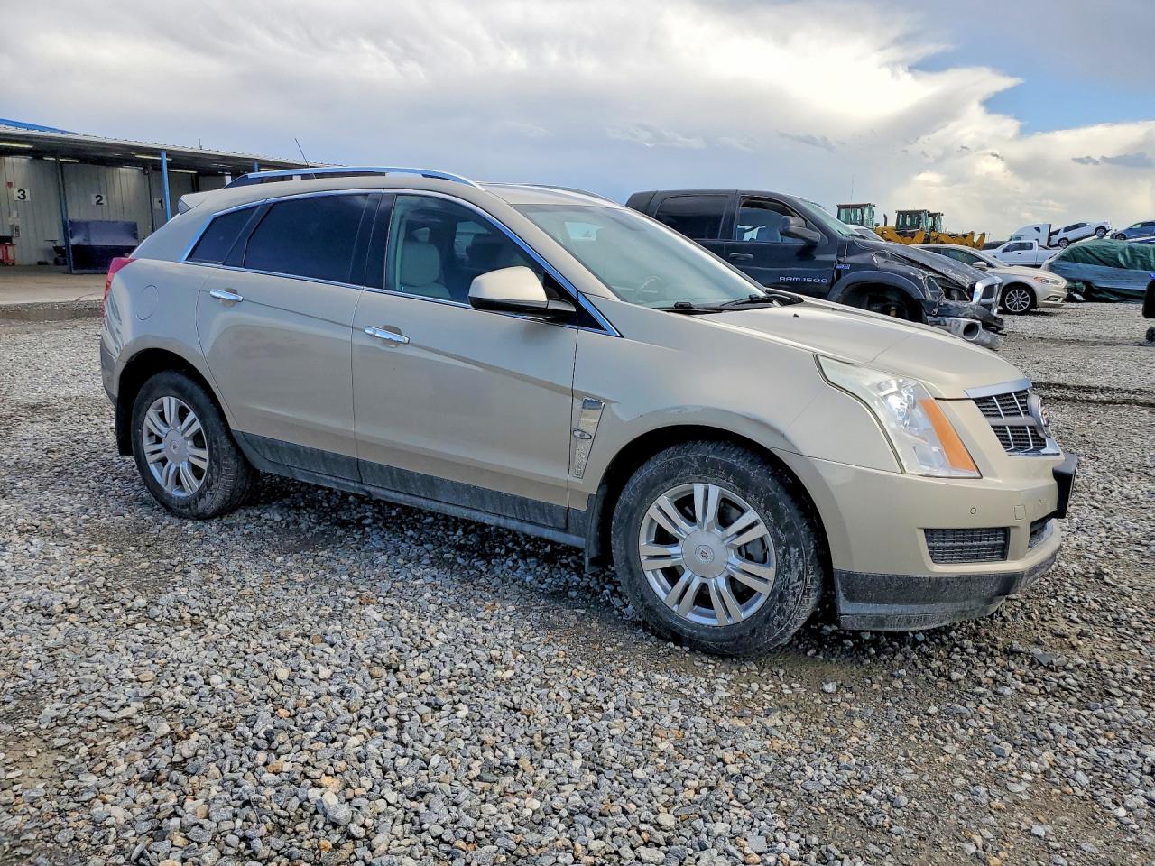 2011 Cadillac Srx Luxury Collection Gold vin: 3GYFNDEY8BS528876