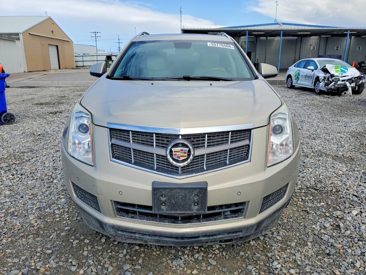 2011 Cadillac Srx Luxury Collection Gold vin: 3GYFNDEY8BS528876