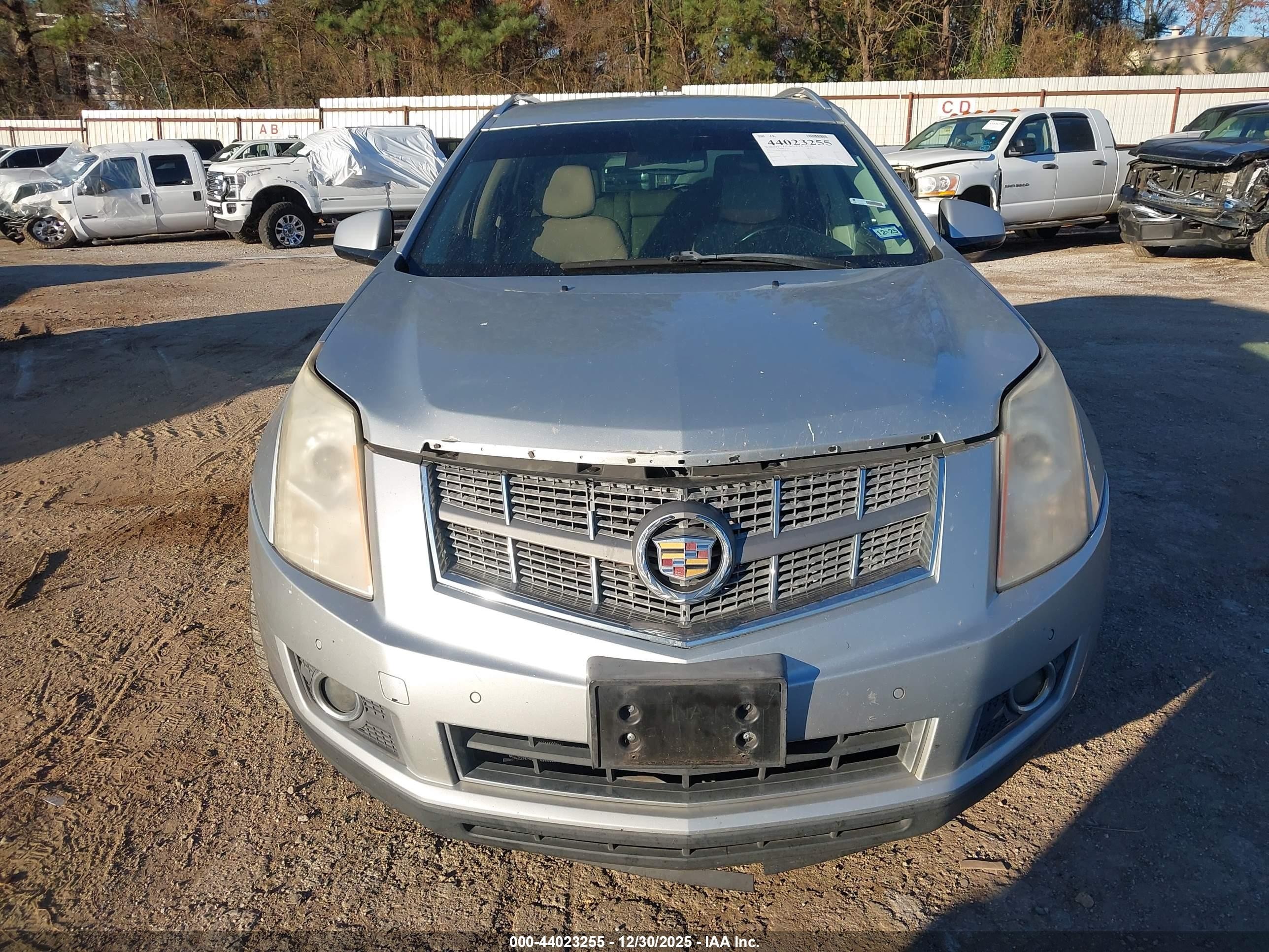 2011 Cadillac Srx Luxury Collection Silver vin: 3GYFNDEY9BS656155