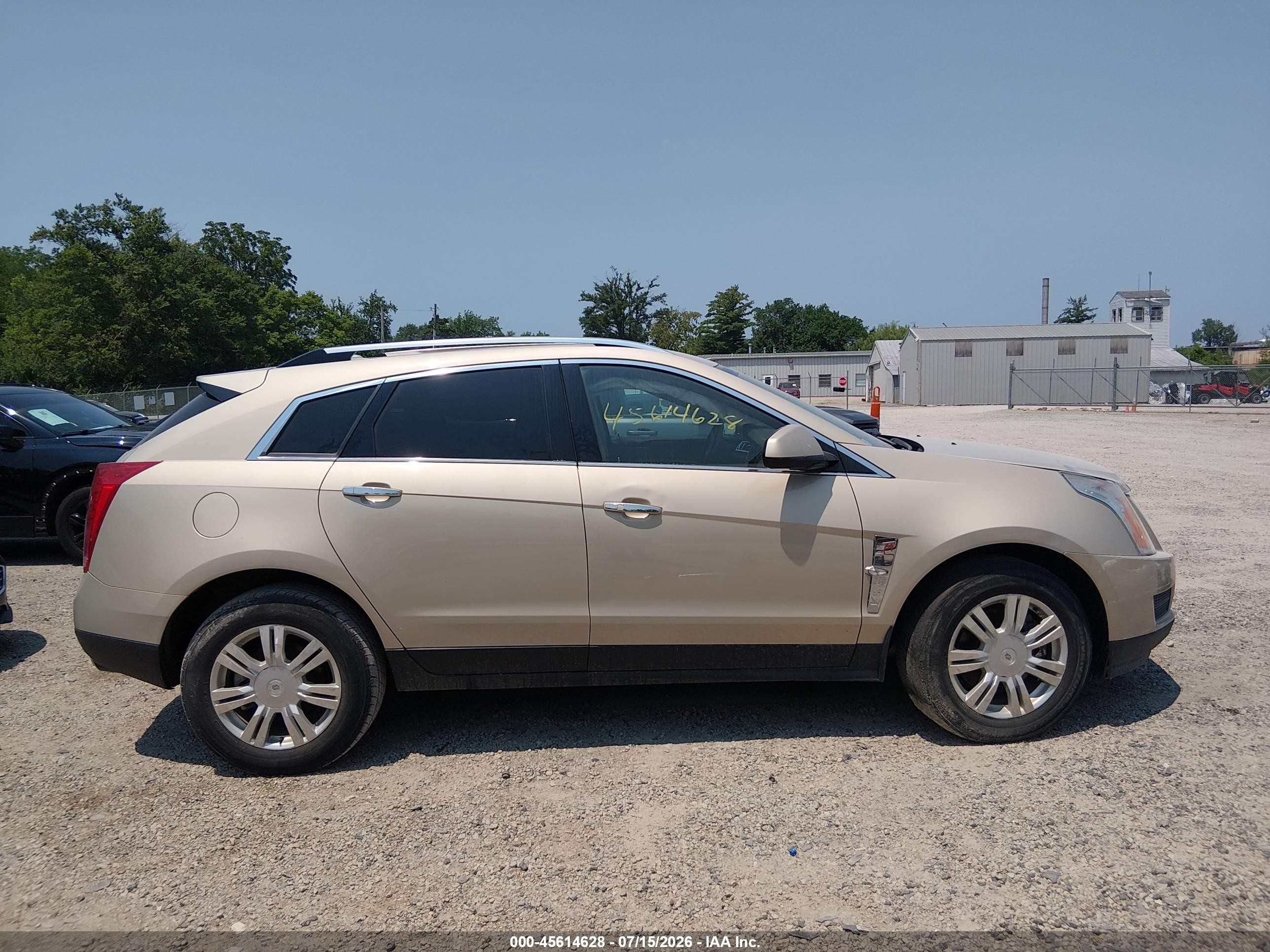 2011 Cadillac Srx Luxury Collection Champagne vin: 3GYFNDEYXBS528961