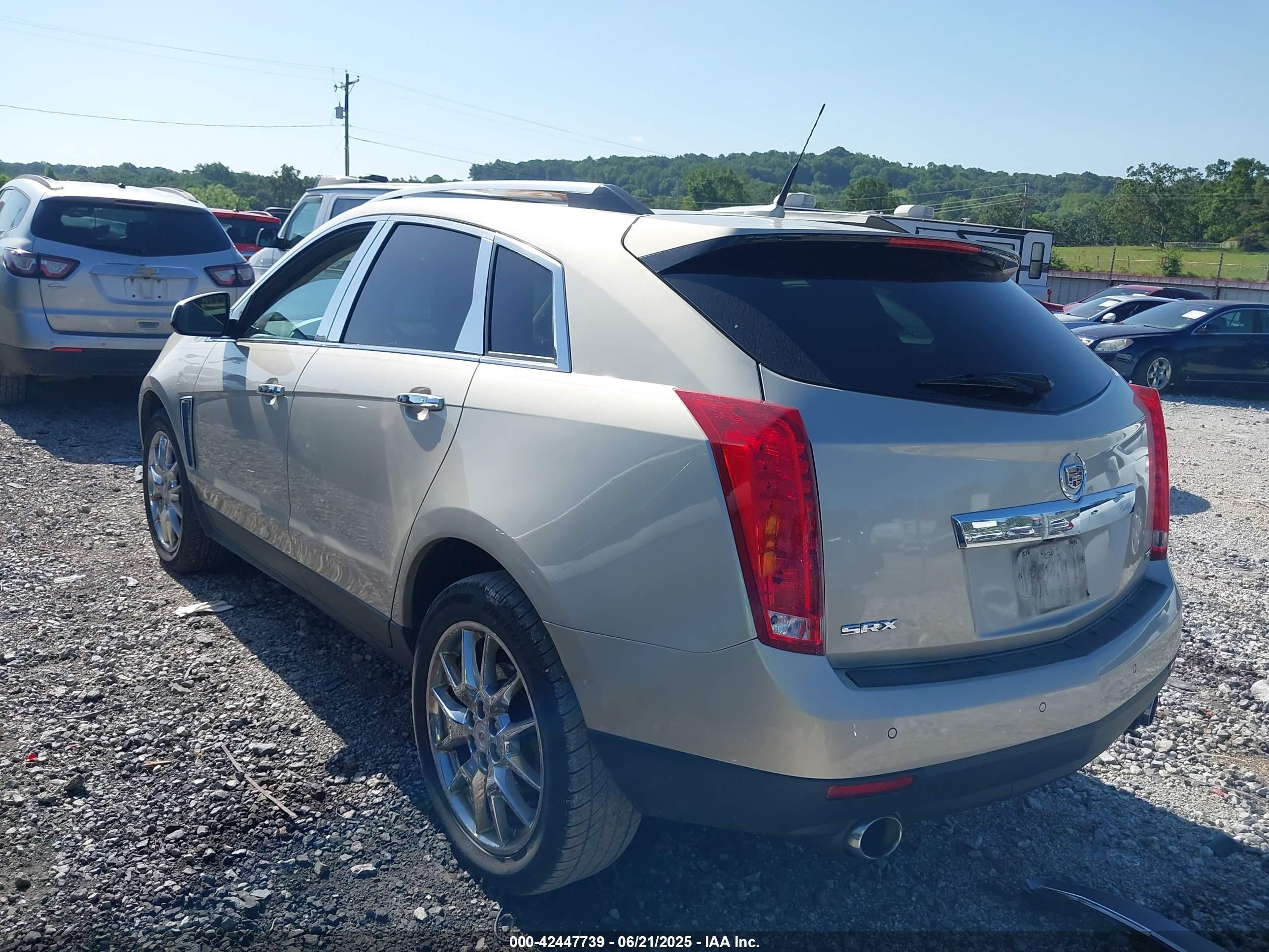 2013 Cadillac Srx Premium Collection Gold vin: 3GYFNEE33DS532234