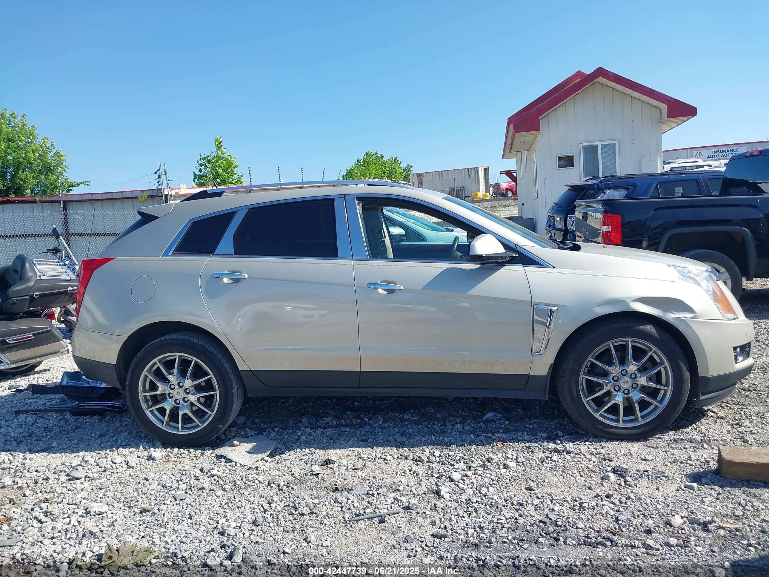 2013 Cadillac Srx Premium Collection Gold vin: 3GYFNEE33DS532234