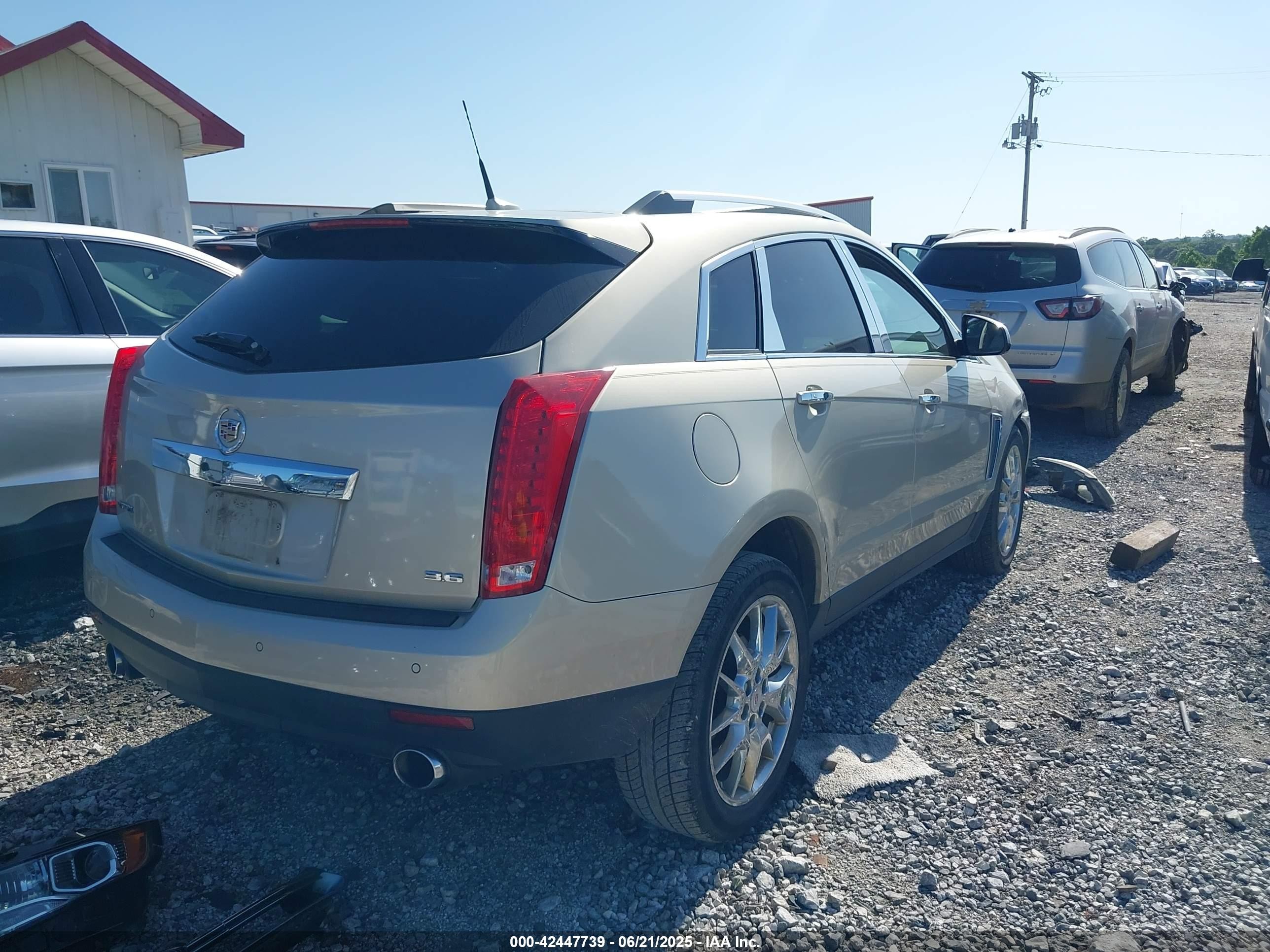 2013 Cadillac Srx Premium Collection Gold vin: 3GYFNEE33DS532234